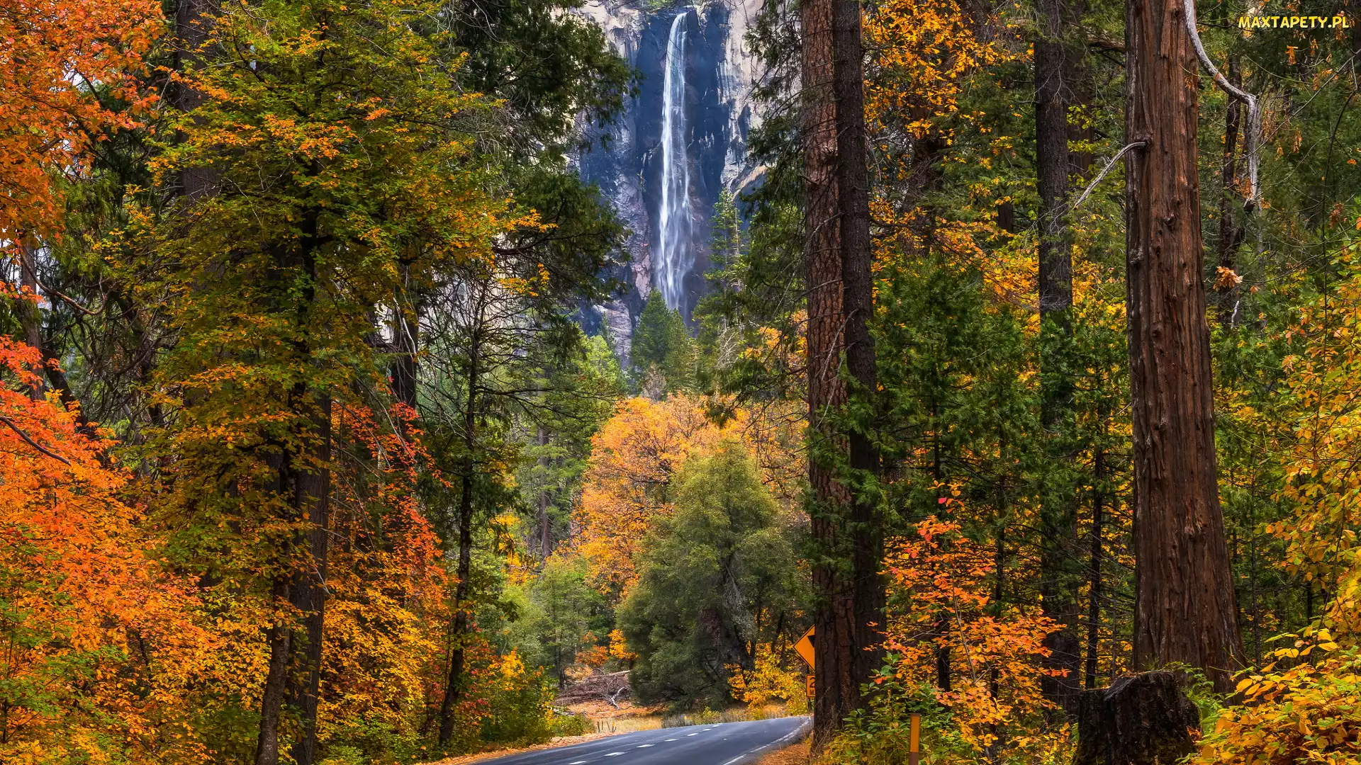 Jesień, Kalifornia, Bridalveil Fall, Stany Zjednoczone, Park Narodowy Yosemite, Wodospad, Las, Drzewa, Droga