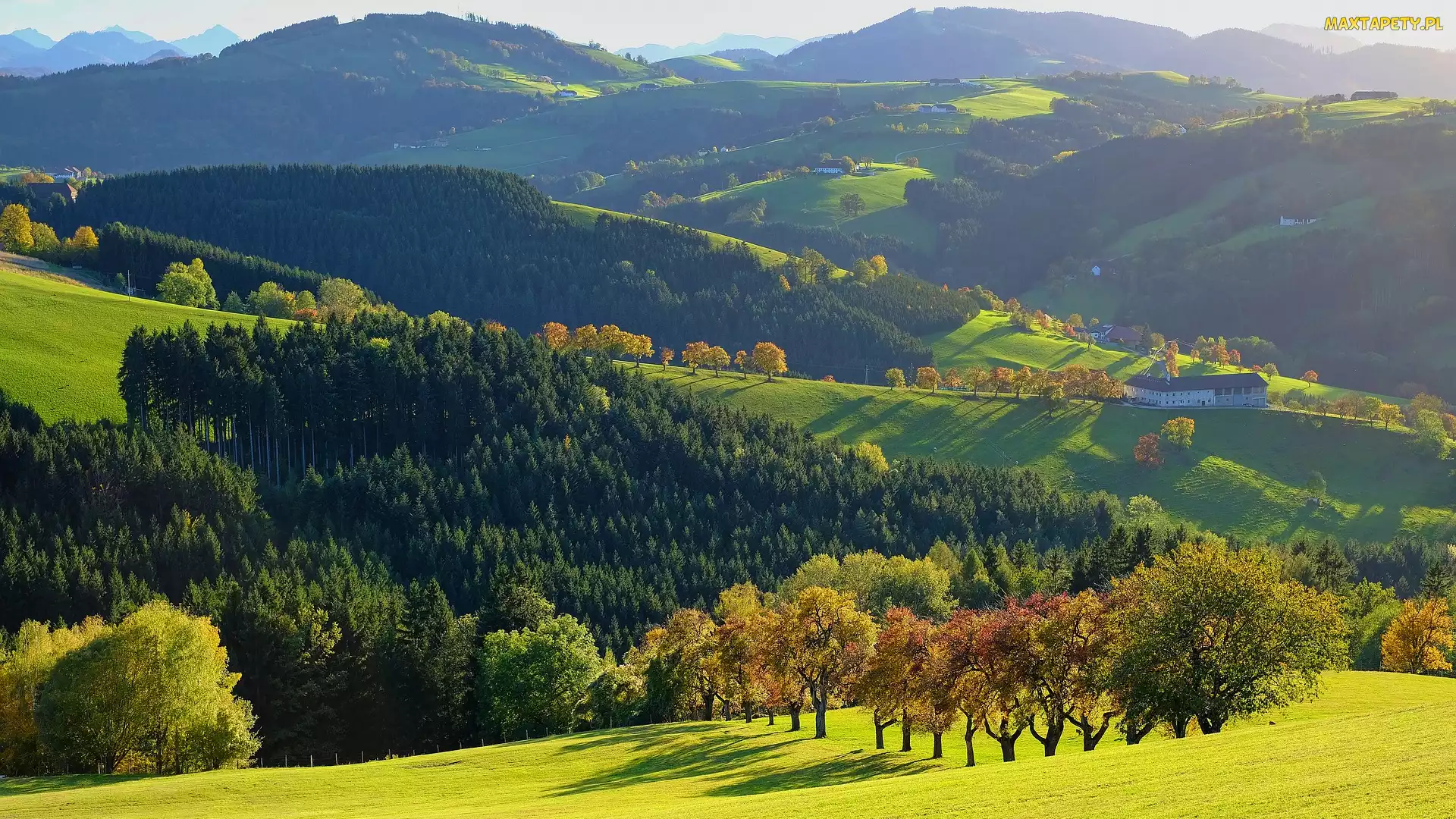 Wzgórza, Drzewa, Góry, Doliny