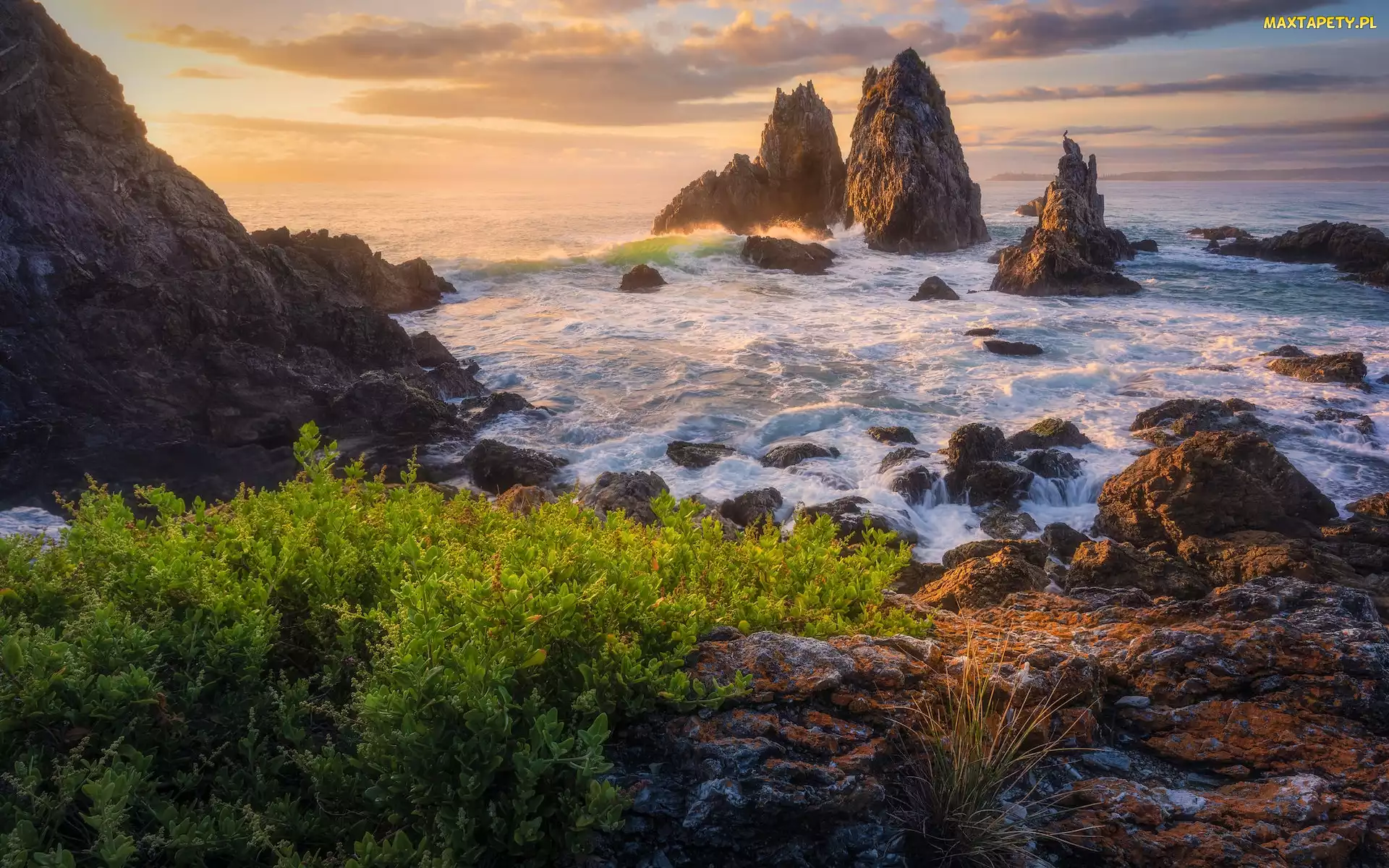 Australia, Roślinność, Camel Rock, Wschód słońca, Morze, Skały, Bermagui, Wybrzeże, Sapphire Coast