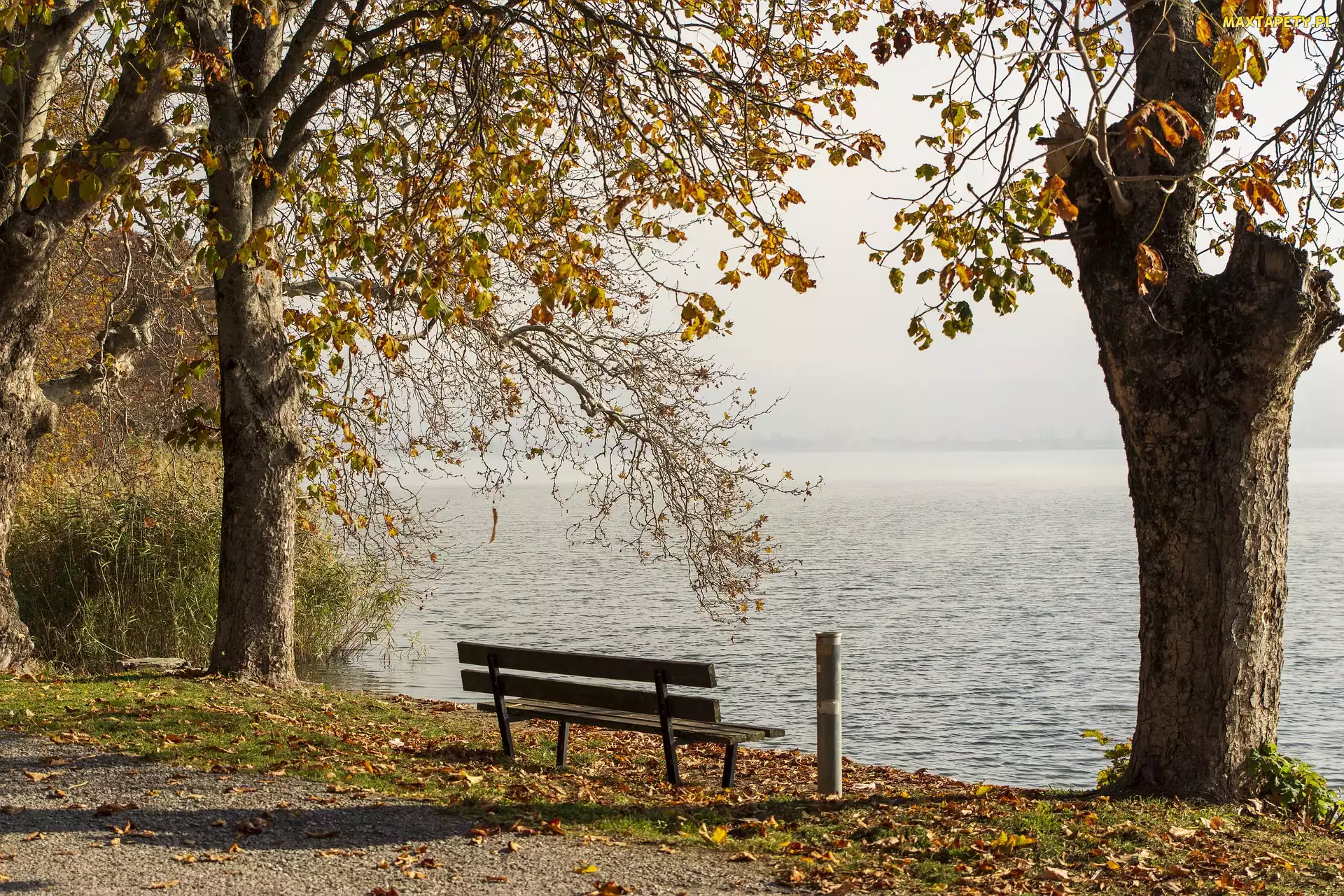 Kastoria, Jezioro Kastoria, Drzewa, Grecja, Mgła, Jesień, Ławka
