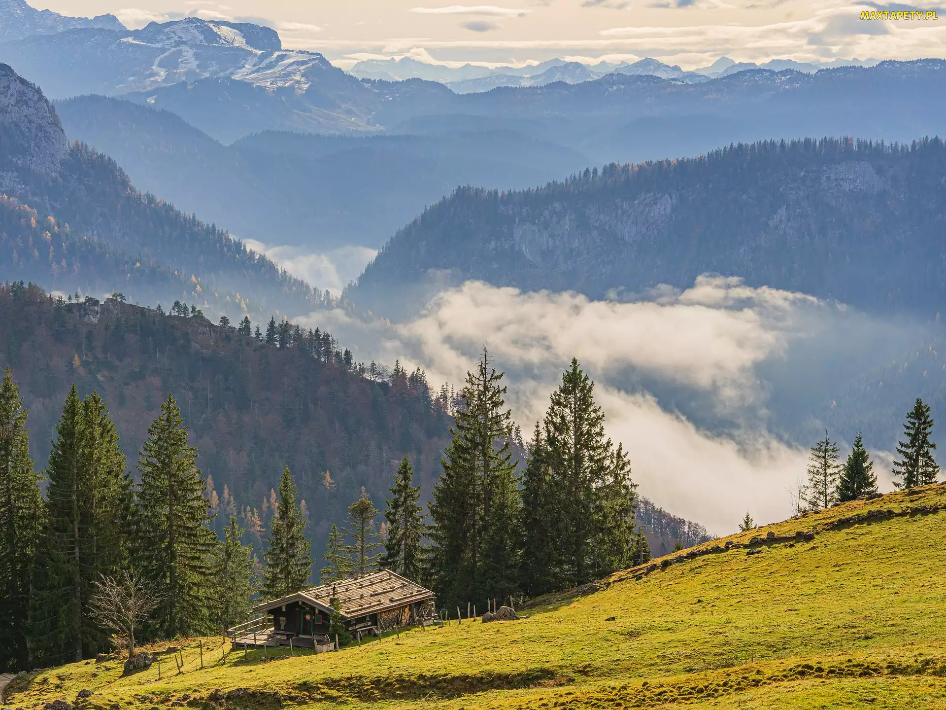 Niemcy, Bawaria, Drzewa, Region Chiemgau, Alpy, Bayerische Voralpen, Mgła, Dom, Góry, Las
