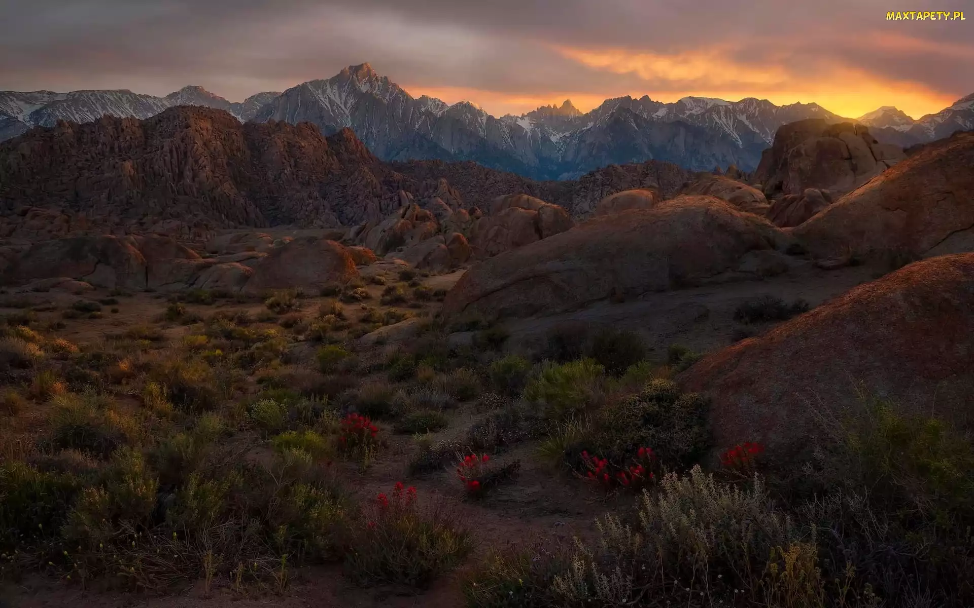 Sierra Nevada, Krzewy, Góry, Alabama Hills, Kalifornia, Pasmo, Stany Zjednoczone, Zachód słońca