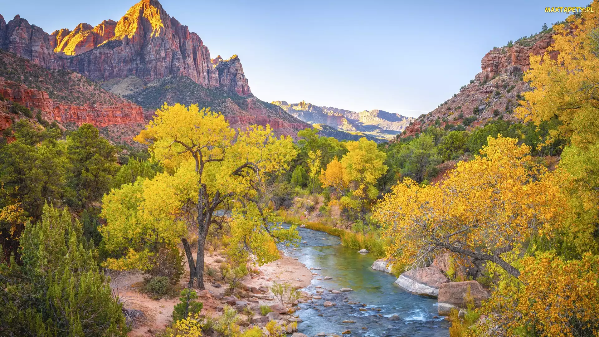 Stany Zjednoczone, Kamienie, Virgin River, Drzewa, Jesień, Rzeka, Stan Utah, Park Narodowy Zion, Góry Watchman