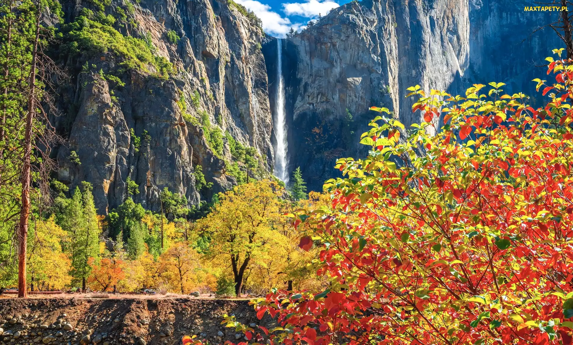 Stany Zjednoczone, Jesień, Bridalveil Falls, Skały, Drzewa, Wodospad, Kalifornia, Park Narodowy Yosemite, Góry