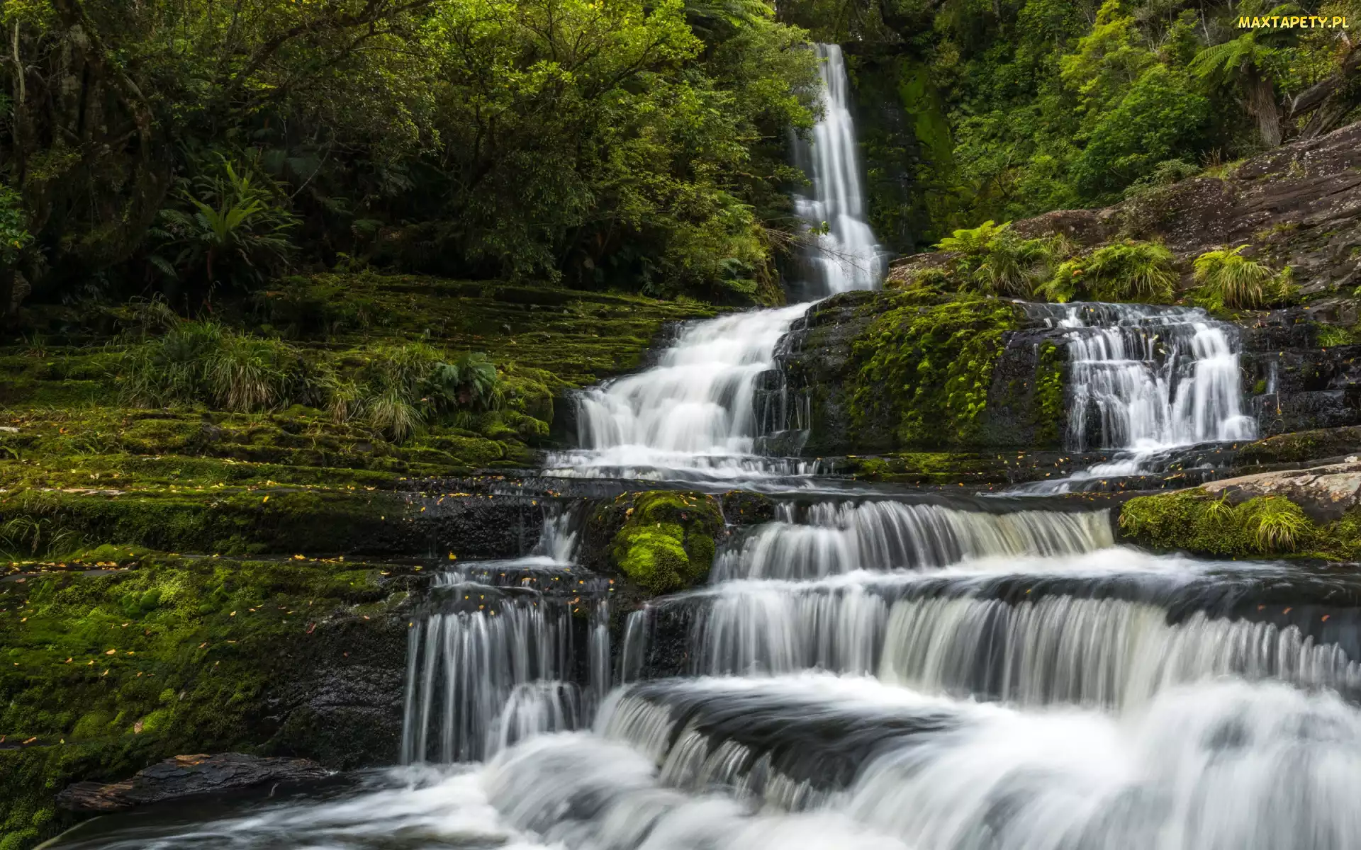 Drzewa, Skały, McLean Falls, Nowa Zelandia, Tautuku River, Wodospad, Rzeka