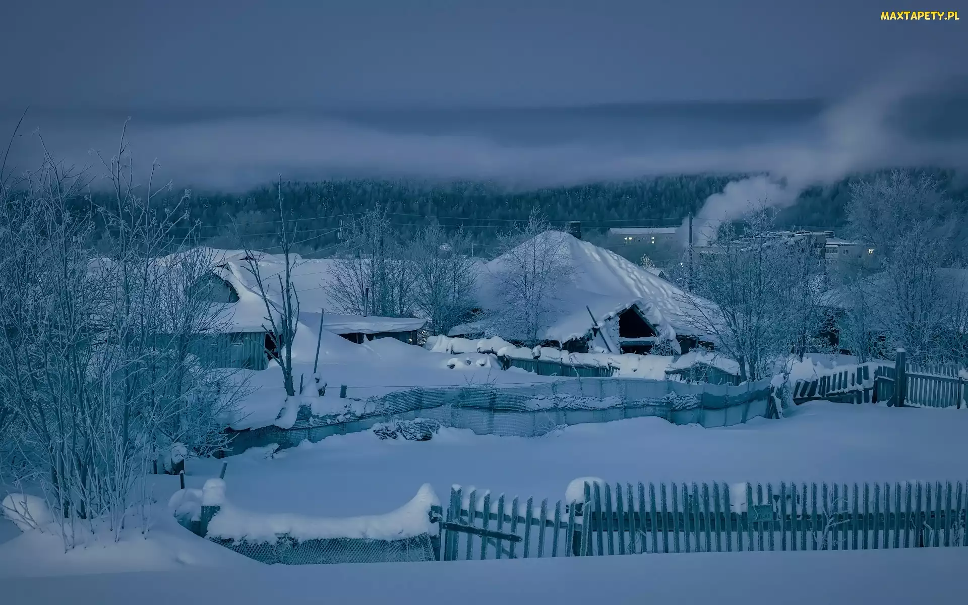 Śnieg, Mgła, Drzewa, Domy, Zima