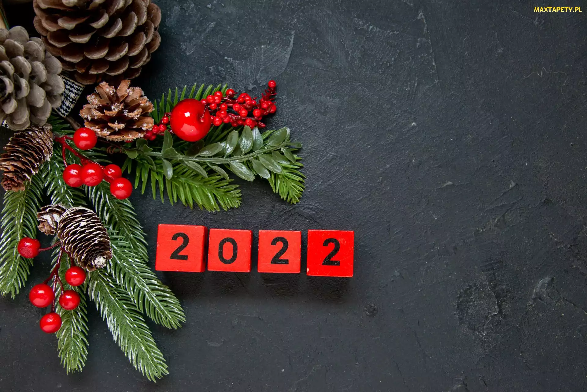 Sosnowe, Szyszki, Koncepcja, 2022, Gałązki, Tło, Nowy, Szare, Orzechy, Rok, Data