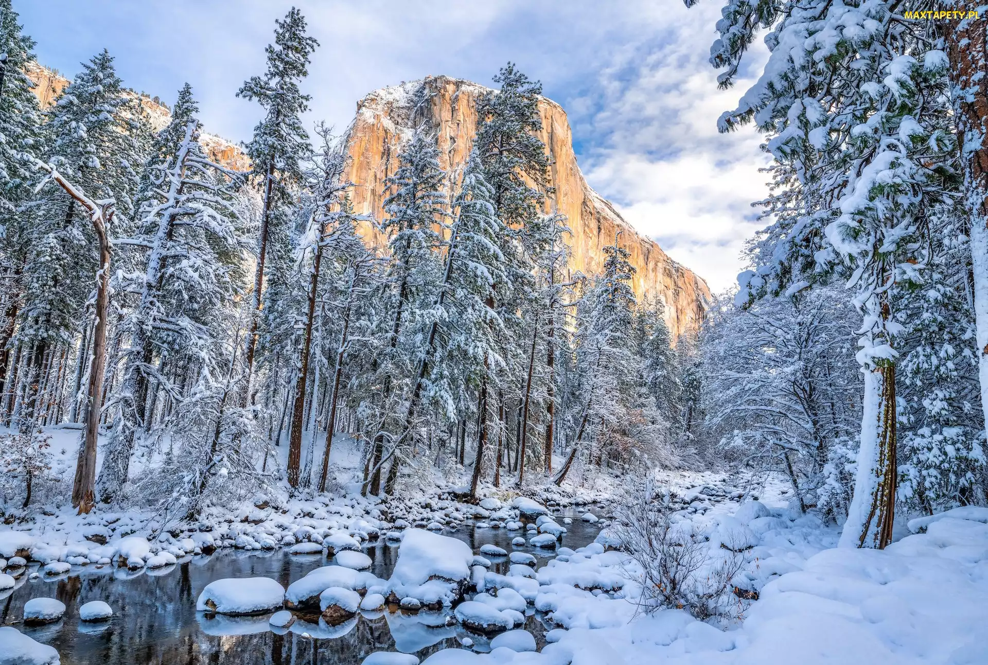 Kalifornia, Drzewa, Park Narodowy Yosemite, Zima, El Capitan, Stany Zjednoczone, Rzeka, Góra