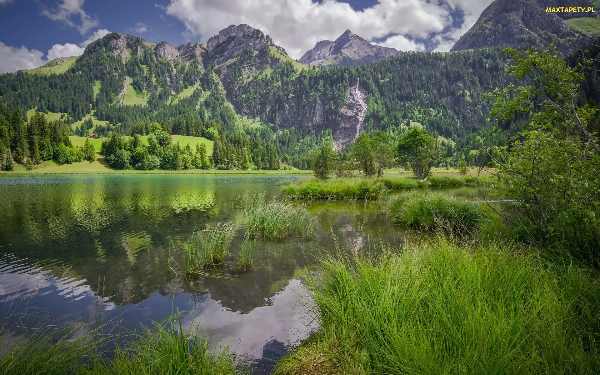Gmina Lauenen, Trawa, Alpy Berneńskie, Szwajcaria, Drzewa, Góry, Jezioro Lauenensee