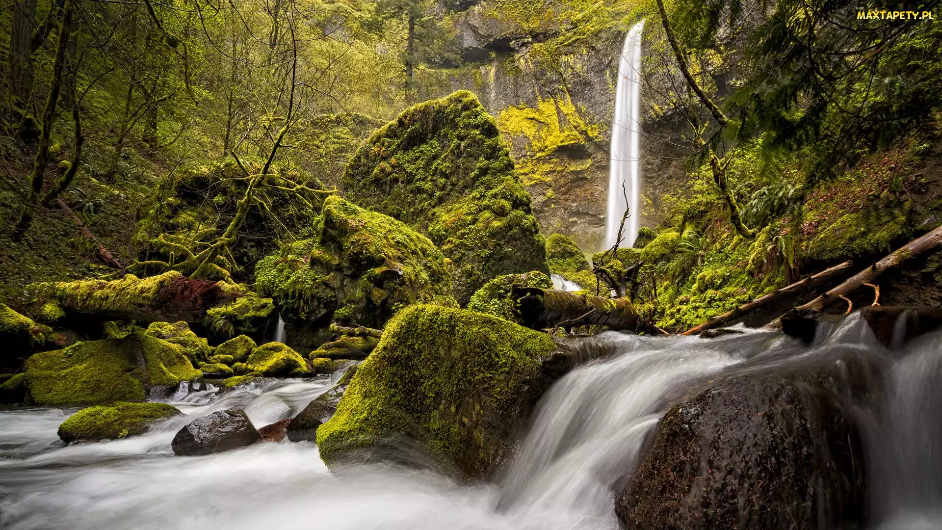 Stany Zjednoczone, Głazy, Kamienie, Oregon, Rzeka, Elowah Falls, McCord Creek, Rezerwat Columbia River Gorge, Wodospad, Omszone