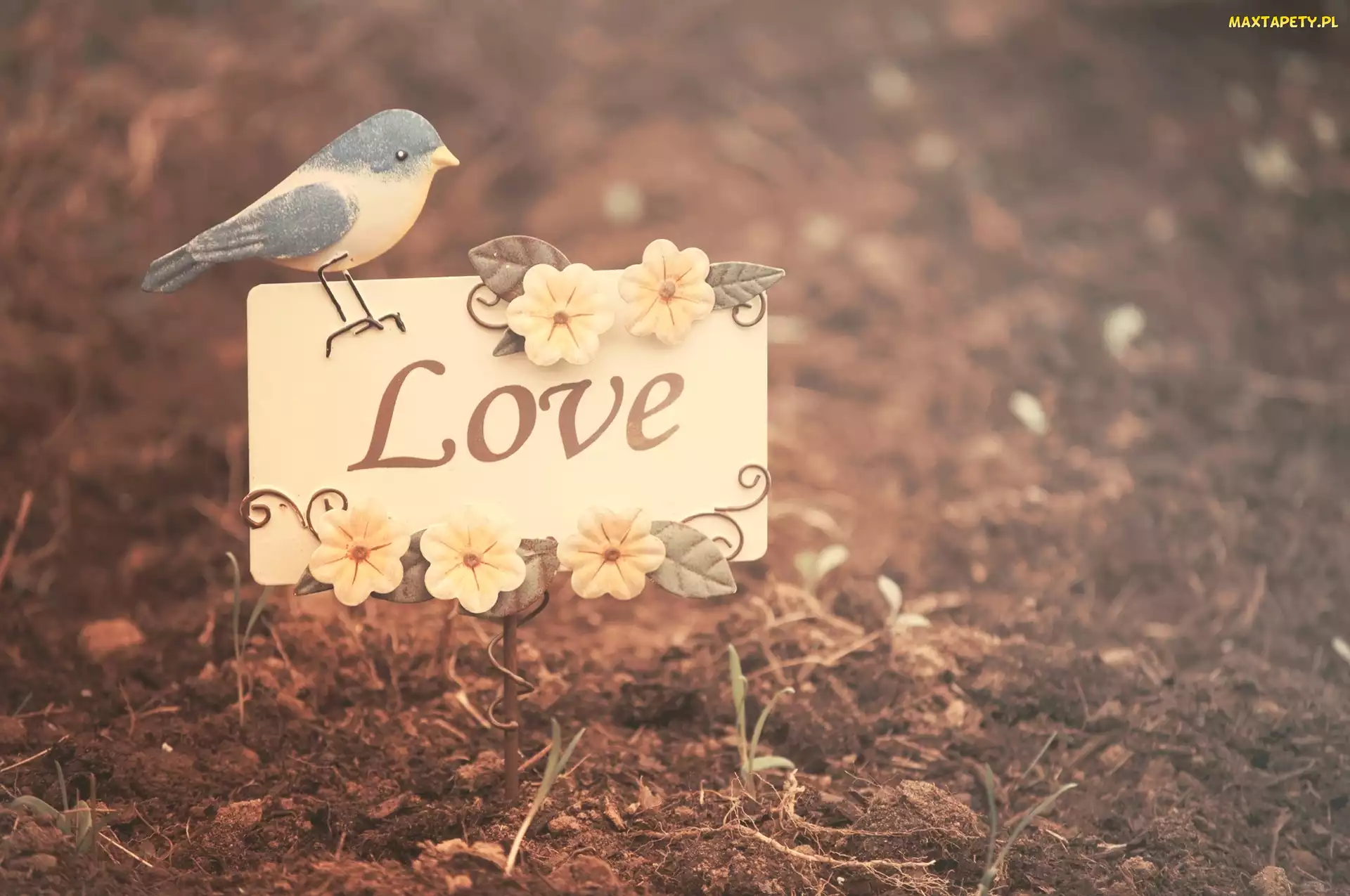 Love, Napis, Kartka, Ptak, Kwiaty, Ziemia, Papier