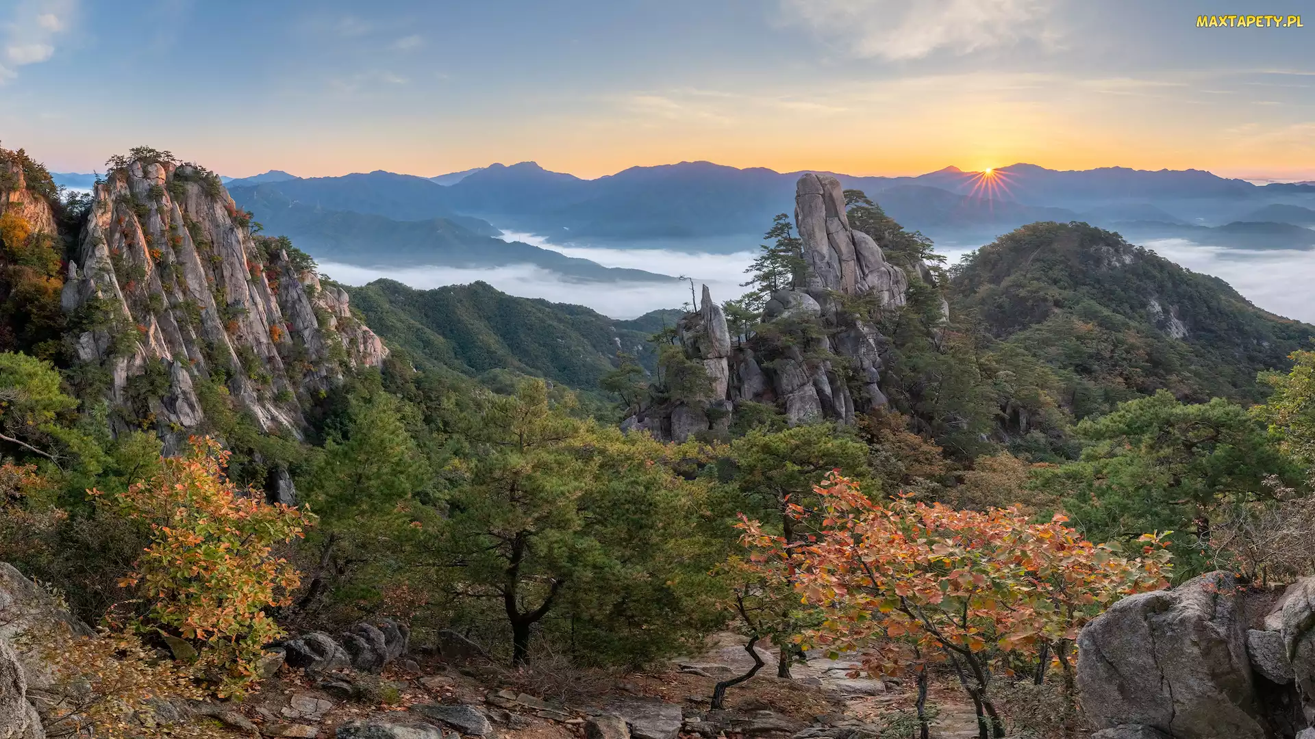 Góra, Drzewa, Korea Południowa, Mgła, Promienie słońca, Unaksan, Skały, Jesień