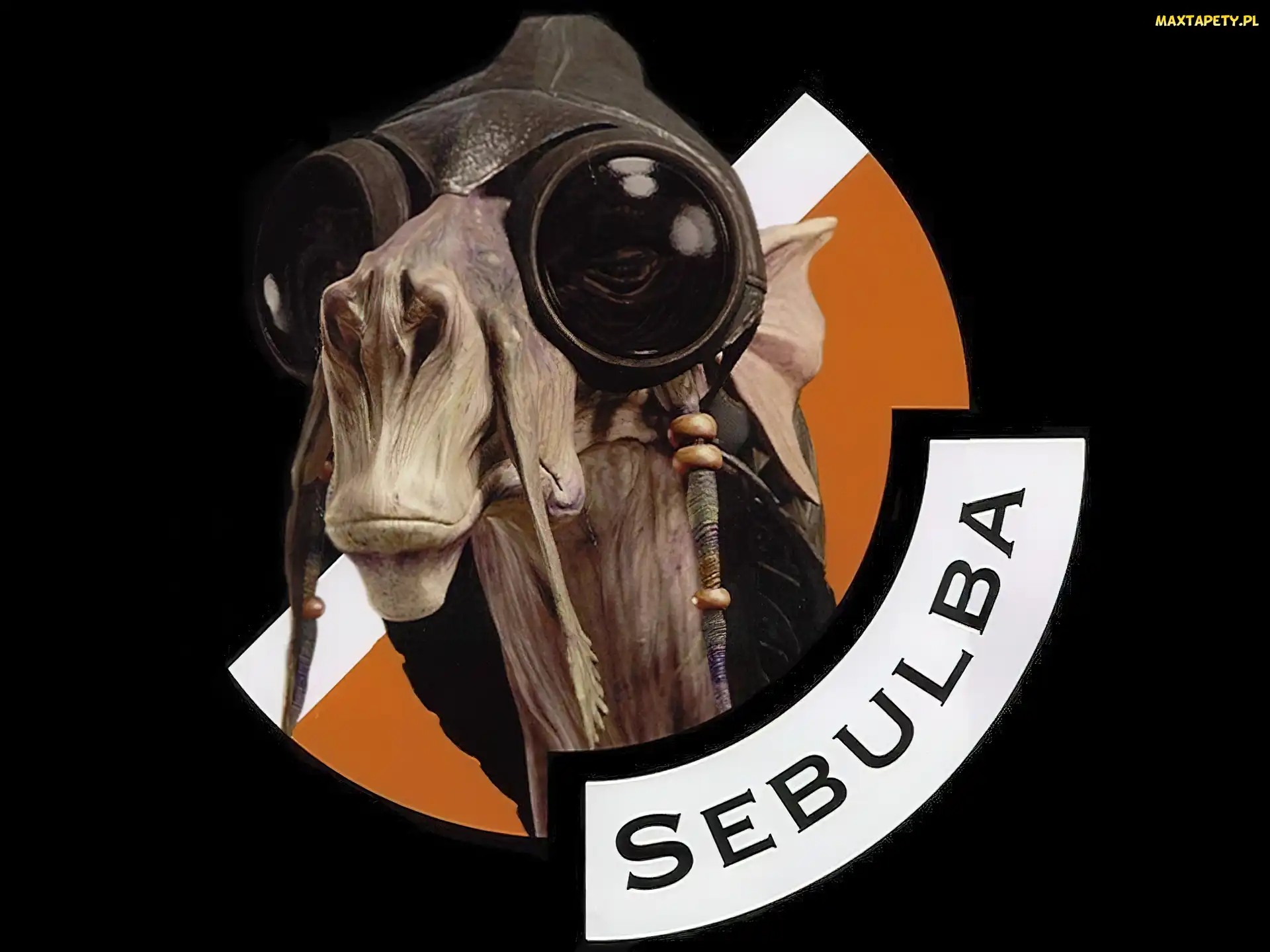 wielbłąd, pilota, czapka, głowa, Star Wars
