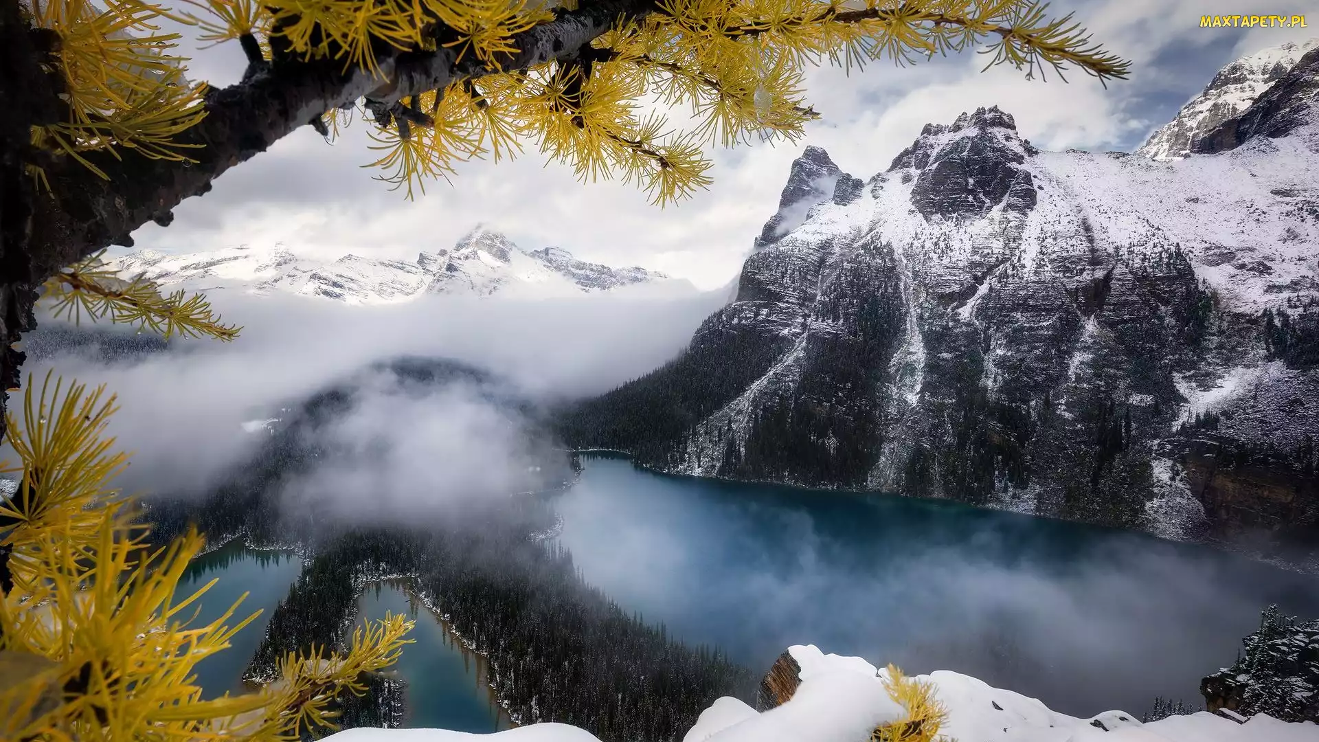 Góry, Park Narodowy Yoho, Mgła, Kanada, Chmury, Las, Canadian Rockies, Jezioro, OHara Lake