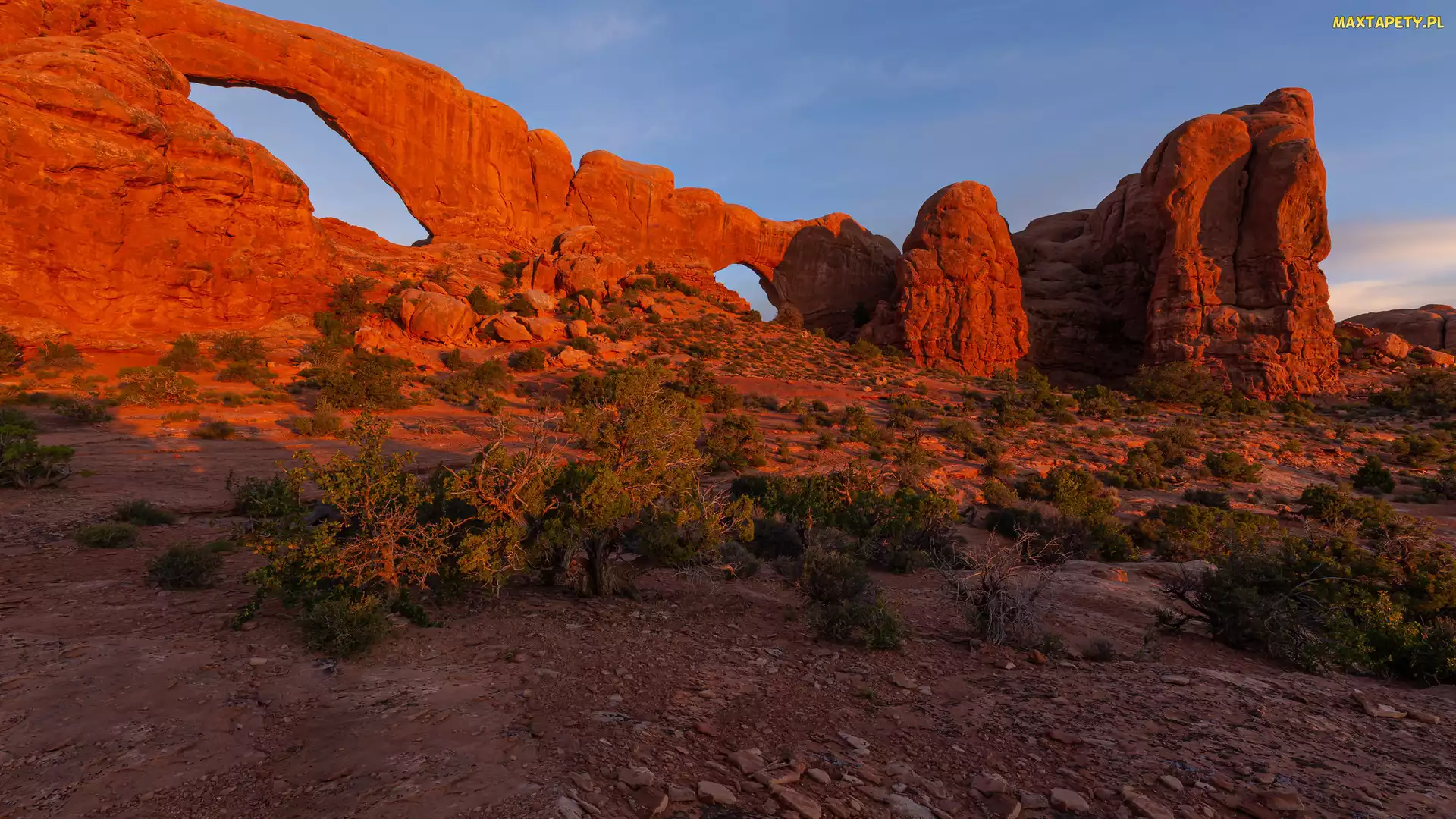 Stany Zjednoczone, Utah, Skały, Formacje, Park Narodowy Arches, Krzewy