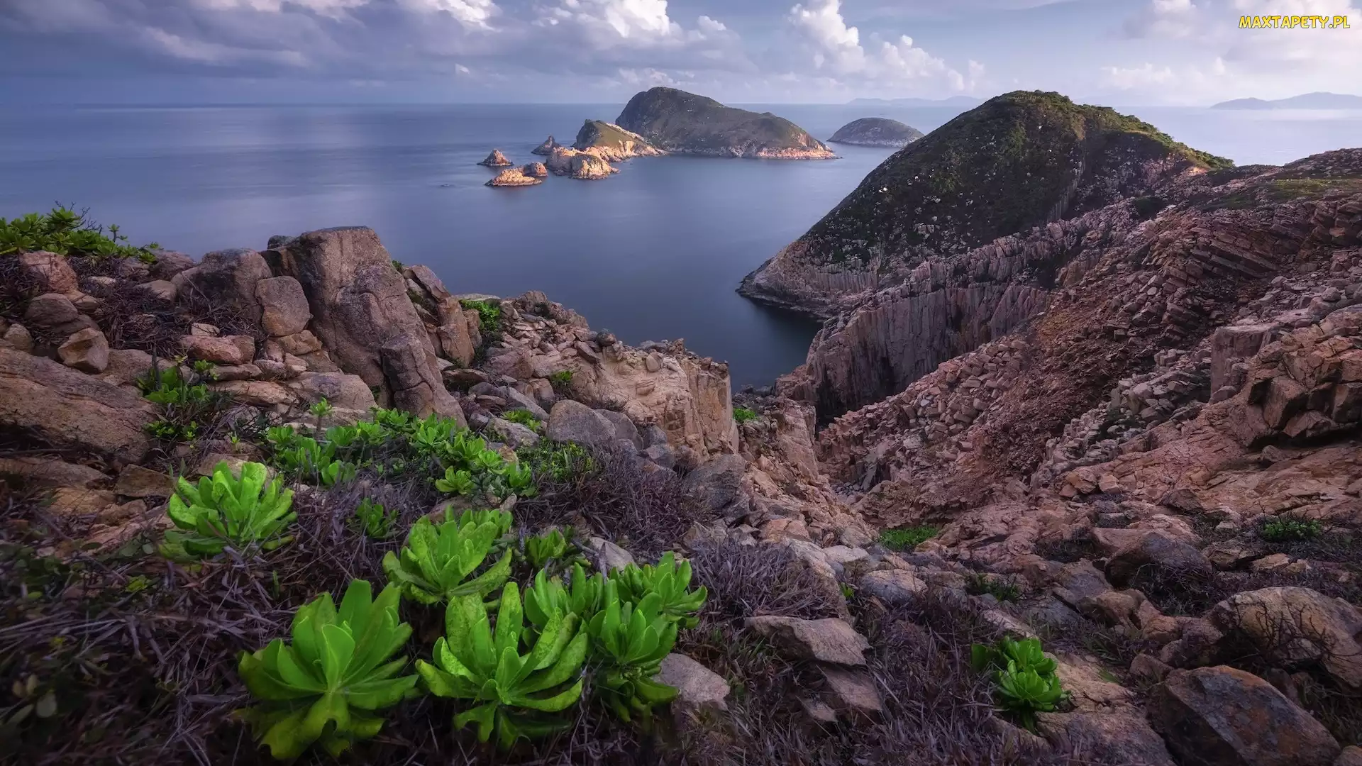 Wysepki, Skały, Hongkong, Roślinność, Morze, Chiny, Geopark