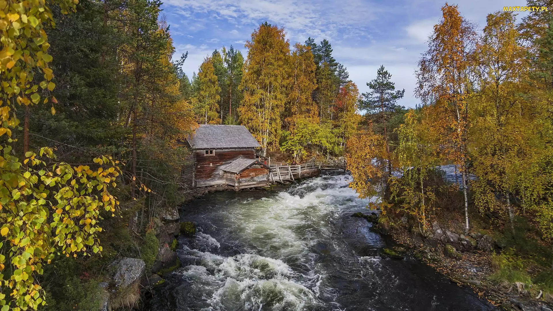 Las, Laponia, Park Narodowy Oulanka, Finlandia, Gmina Kuusamo, Jesień, Drzewa, Rzeka, Młyn Myllykoski