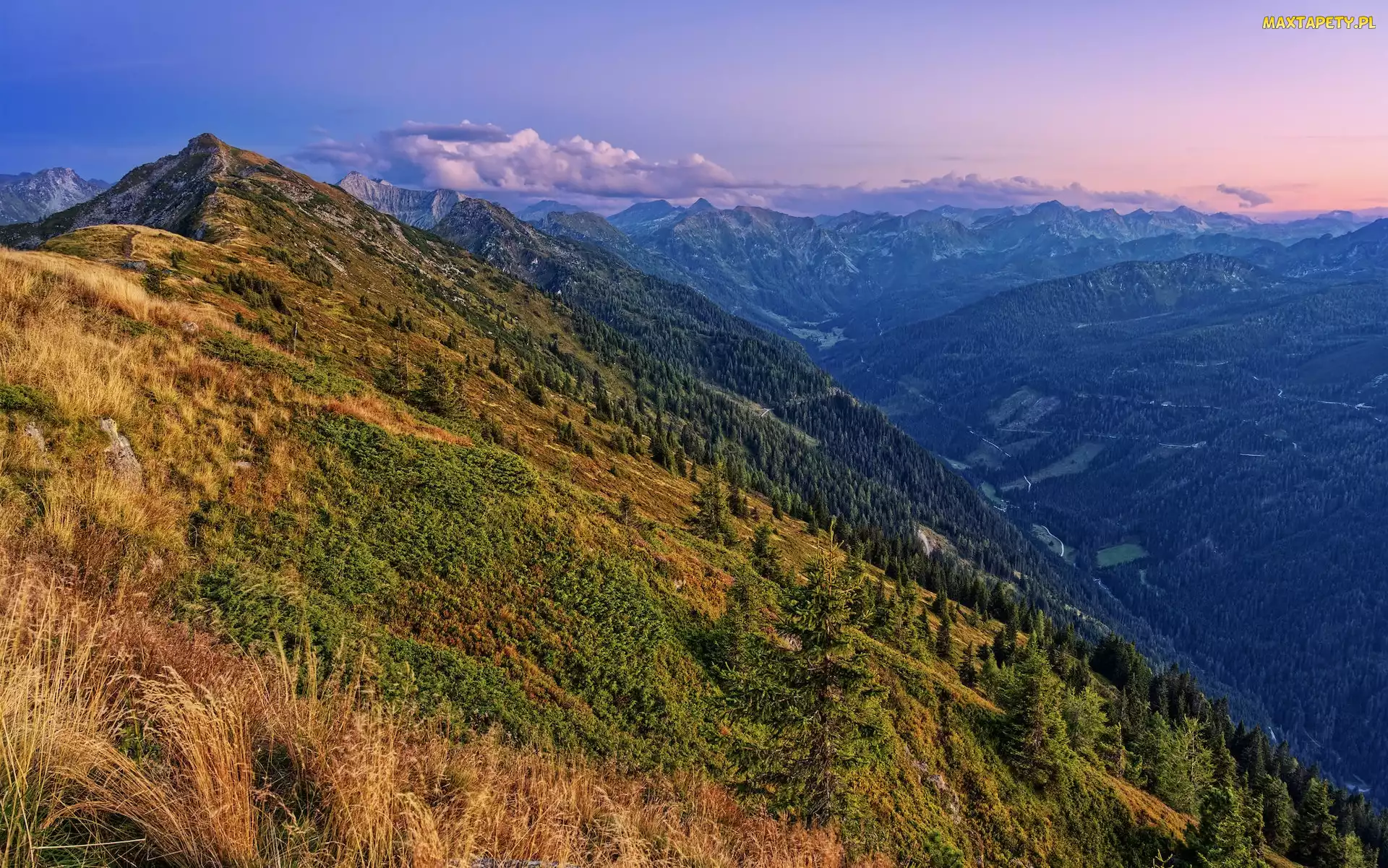 Schladminger Tauern, Austria, Lasy, Dolina, Góry