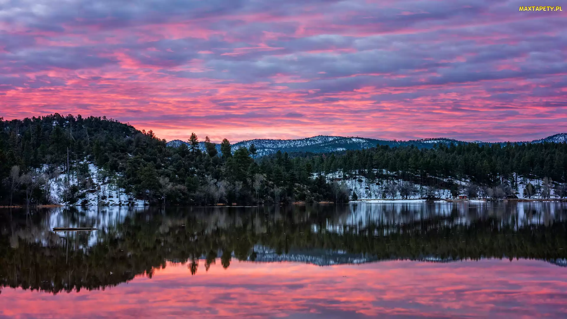 Stany Zjednoczone, Odbicie, Drzewa, Arizona, Niebo, Kolorowe, Góry, Jezioro, Wschód słońca, Lynx Lake