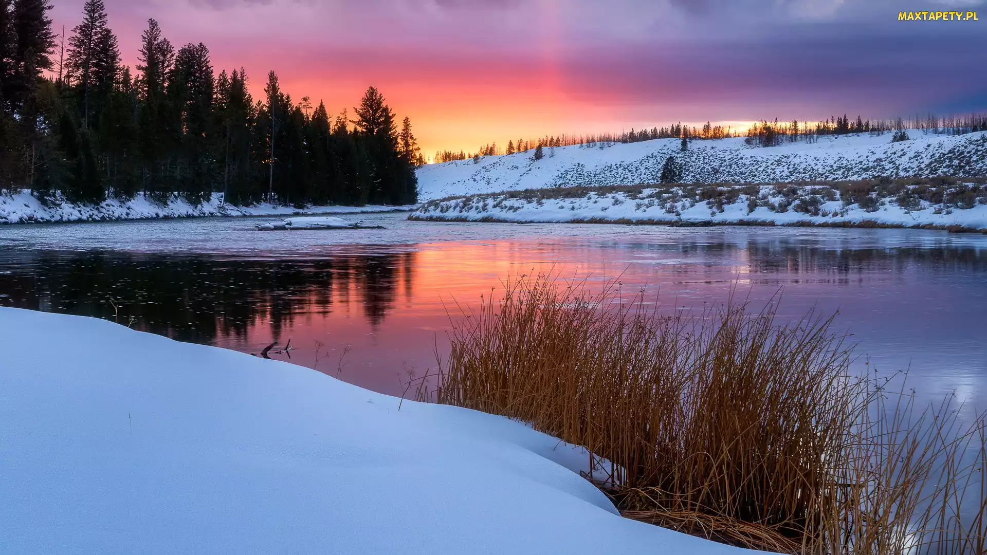 Wyoming, Park Narodowy Yellowstone, Rzeka, Stany Zjednoczone, Drzewa, Zachód słońca, Zima