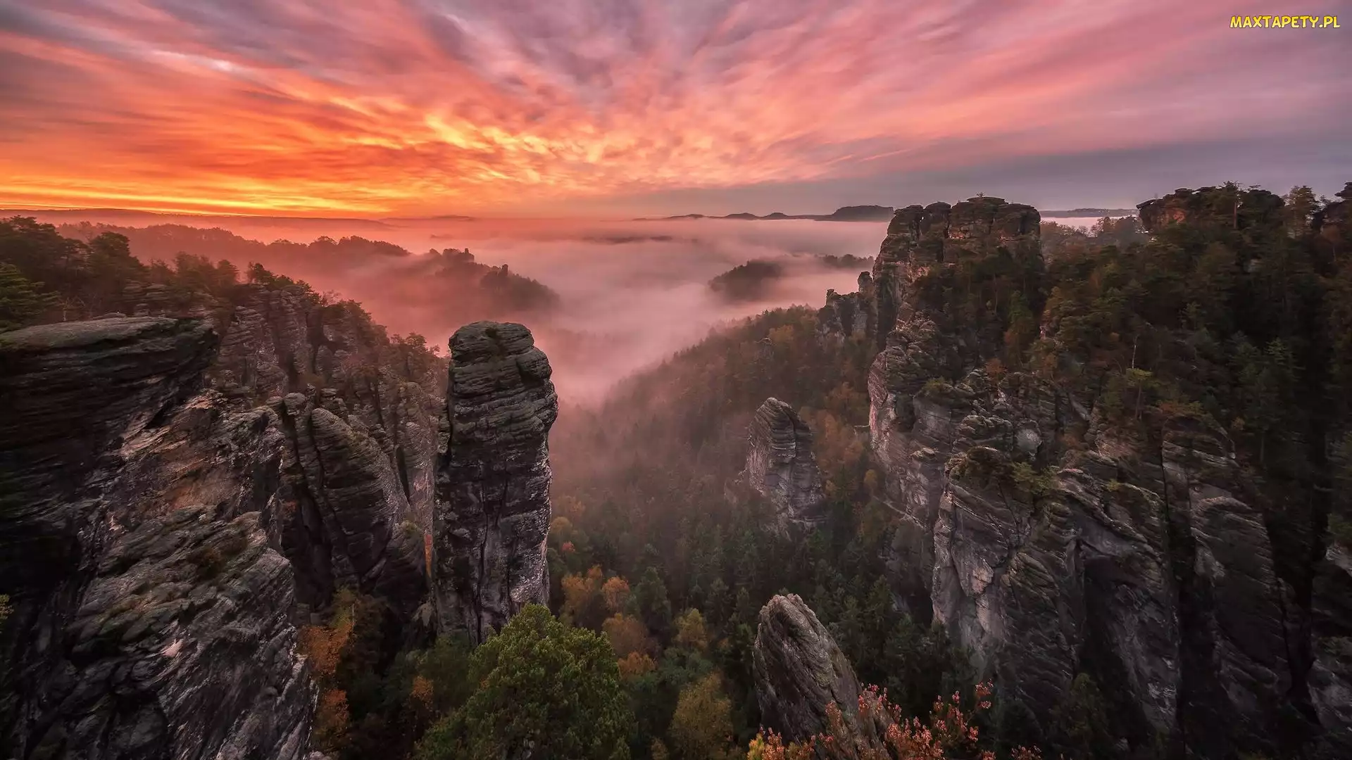 Park Narodowy Saskiej Szwajcarii, Mgła, Skały, Niemcy, Zachód słońca, Góry Połabskie, Drzewa