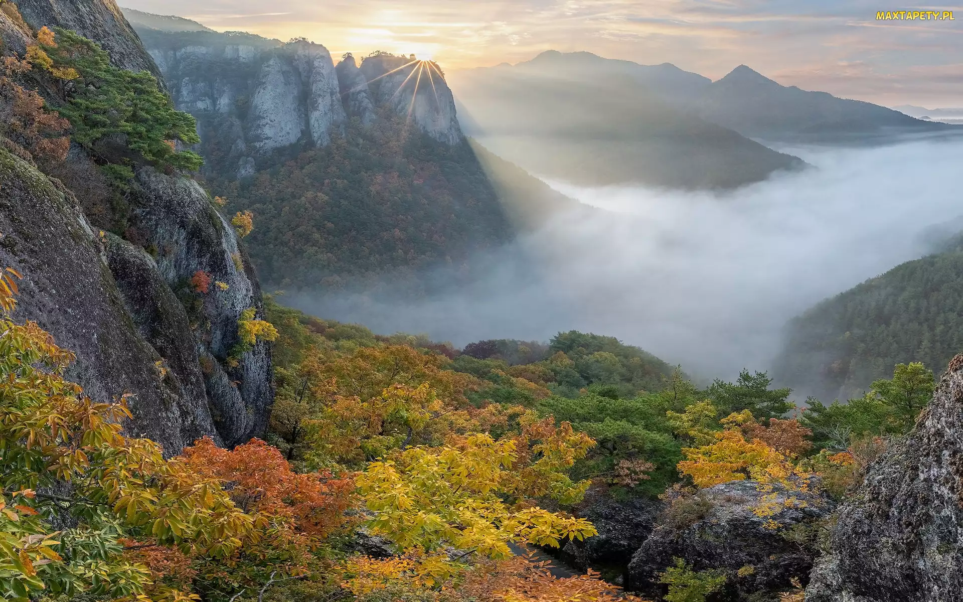 Park Narodowy Juwangsan, Drzewa, Korea Południowa, Jesień, Mgła, Góry, Promienie słońca, Roślinność