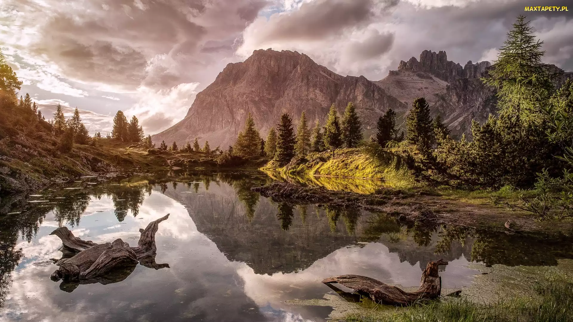 Odbicie, Drzewa, Dolomity, Włochy, Lago Limides, Góry, Jezioro
