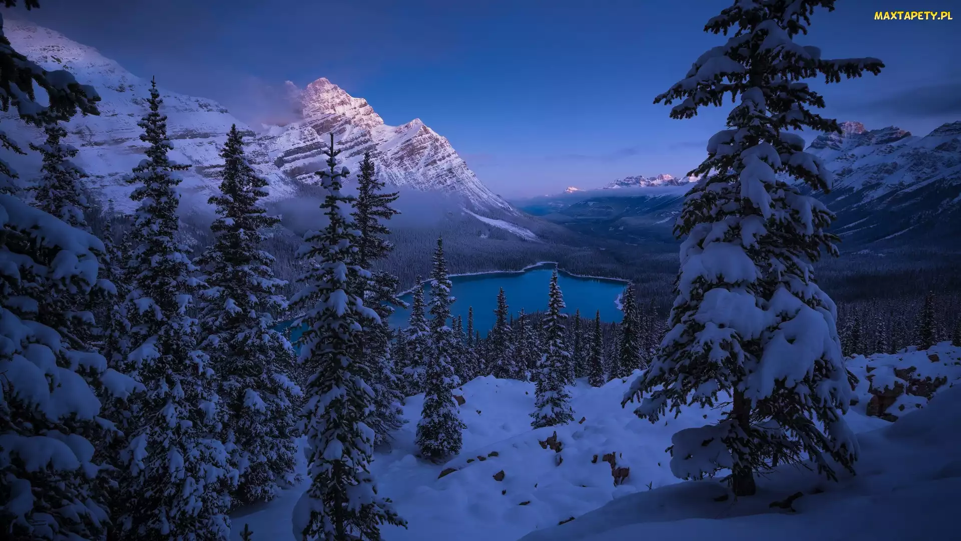 Jezioro, Prowincja Alberta, Kanada, Góry Skaliste, Lake Peyto, Ośnieżone, Świerki, Lasy, Zima, Śnieg, Drzewa, Park Narodowy Banff