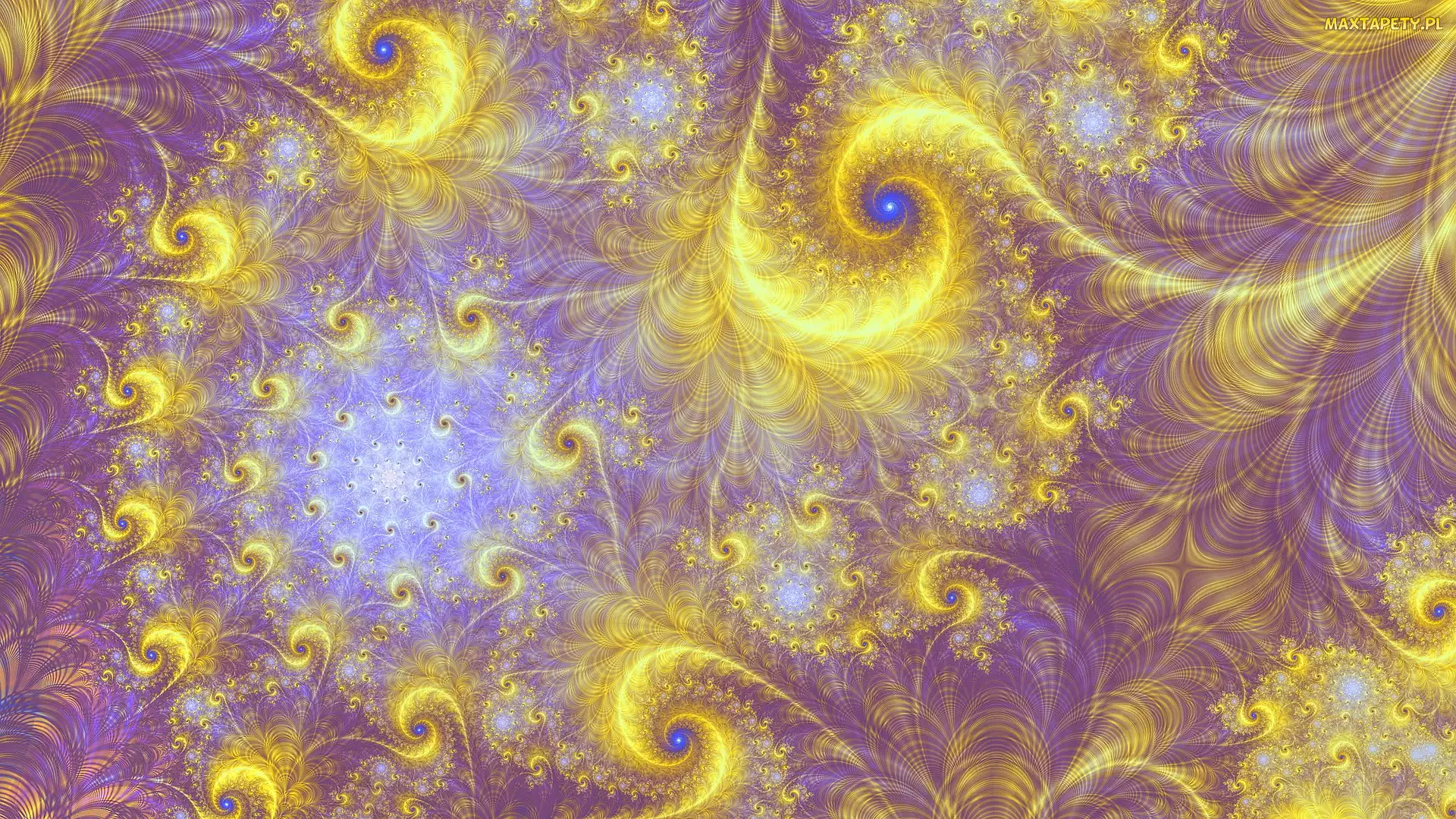 Spirale, Fraktal