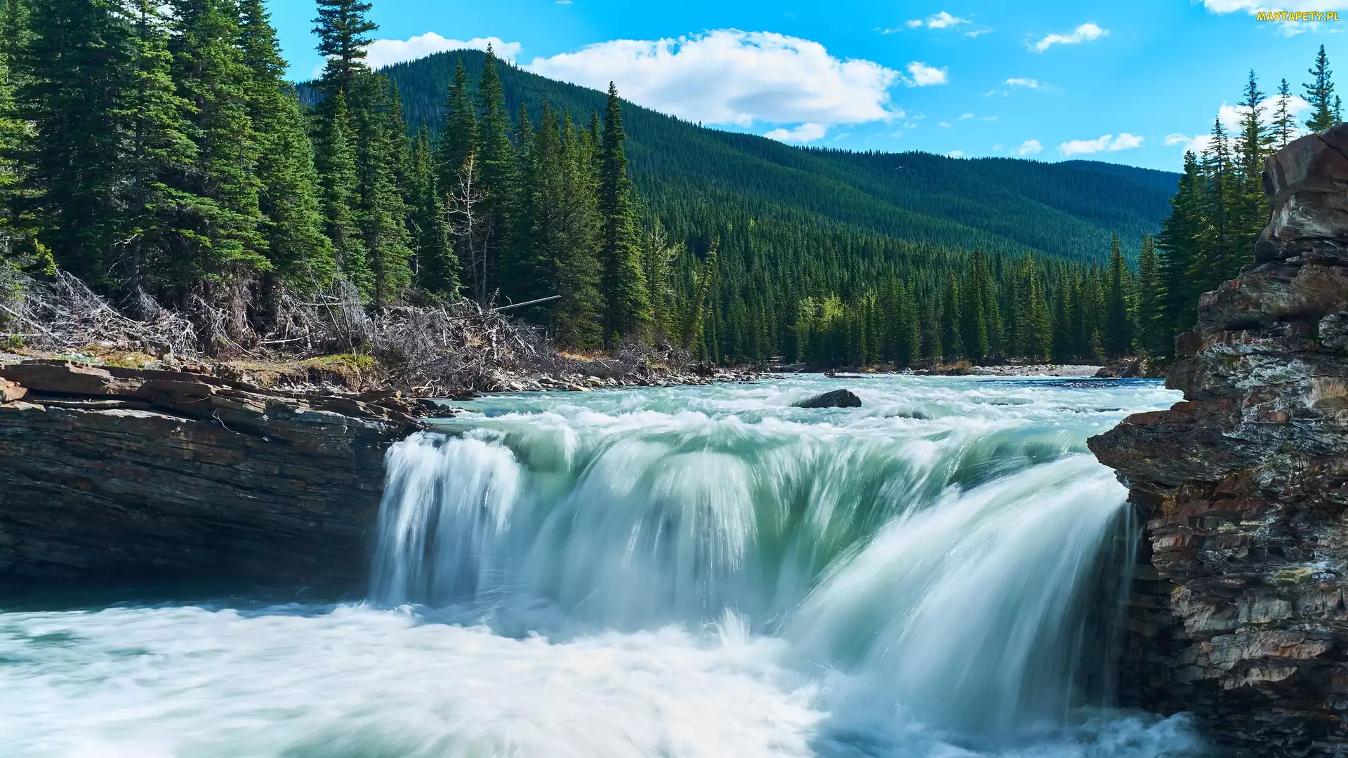 Las, Alberta, Wodospad, Kanada, Sheep River Falls, Sheep River, Drzewa, Góry, Rzeka