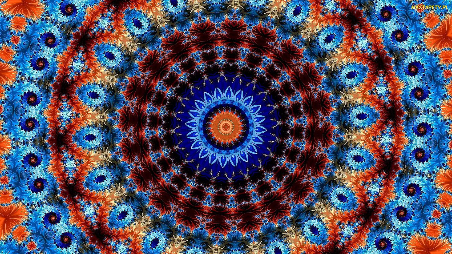 Wzory, Spirale, Fraktal, Kwiat