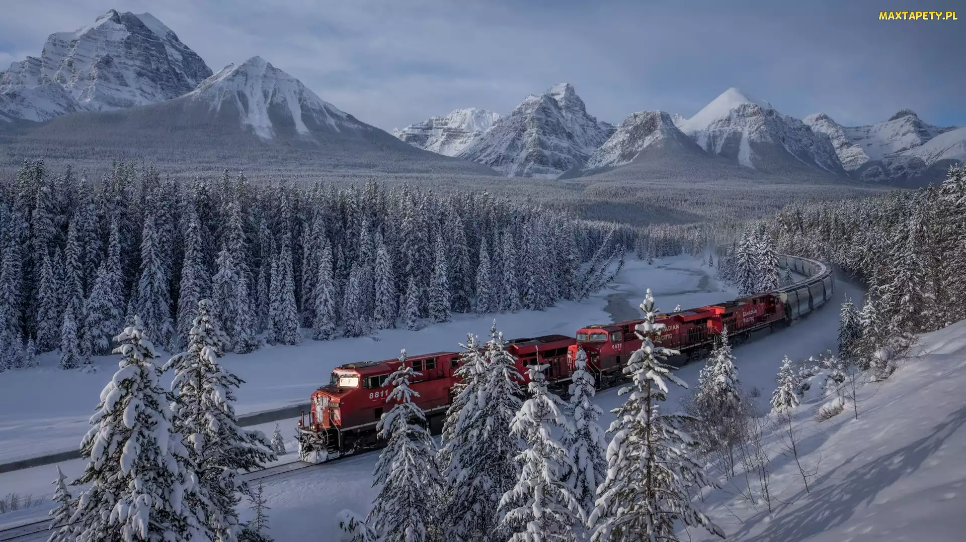 Lasy, Śnieg, Park Narodowy Banff, Pociąg, Zima, Kanada, Góry Skaliste, Alberta, Drzewa, Rzeka, Bow River