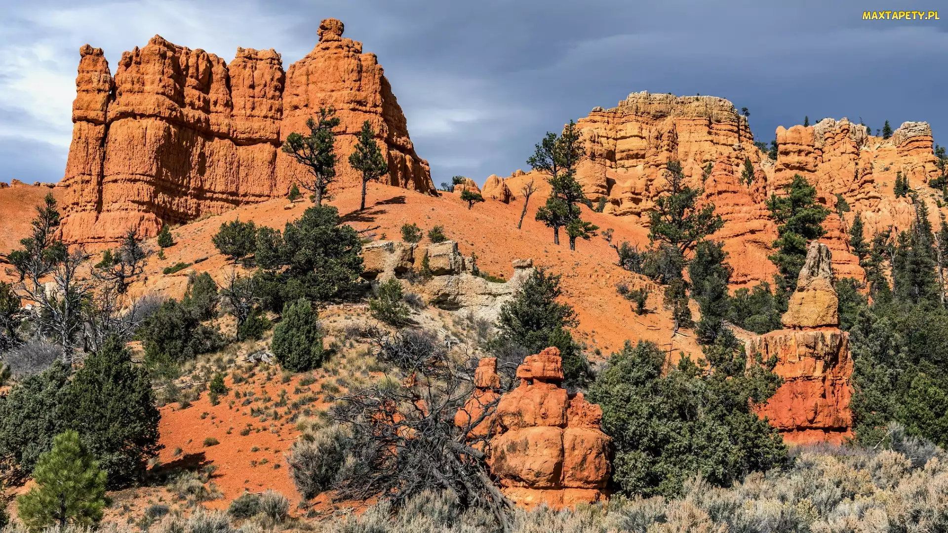 Stan Utah, Panguitch, Drzewa, Stany Zjednoczone, Hillsdale, Skały, Red Canyon Visitor Center
