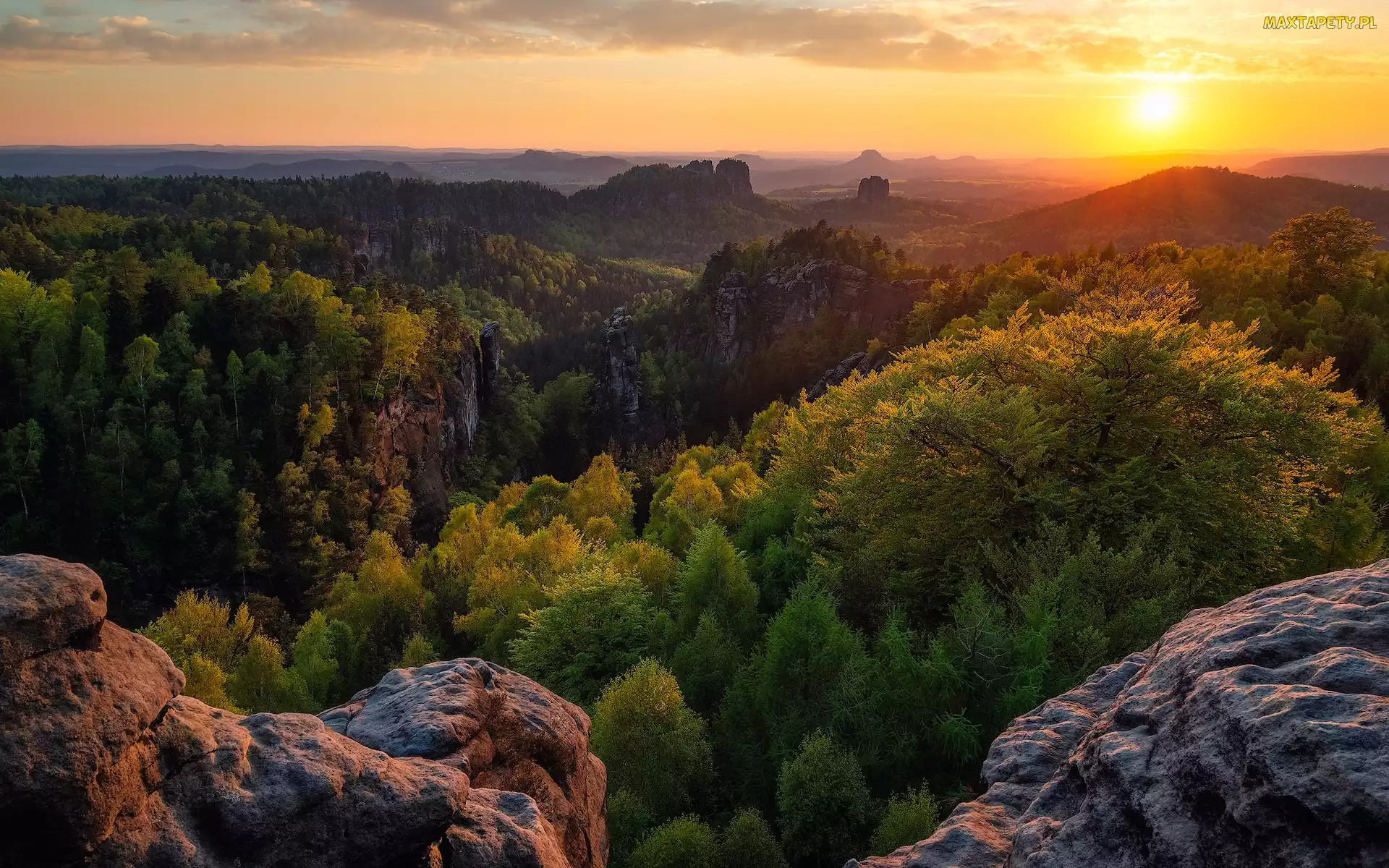 Wschód słońca, Drzewa, Park Narodowy Saskiej Szwajcarii, Niemcy, Góry Połabskie, Skały