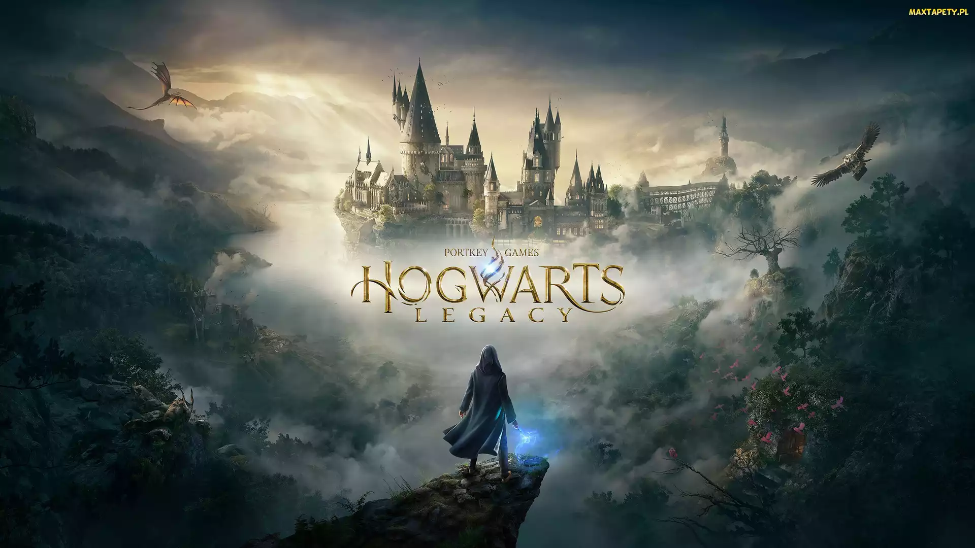 Smok, Skała, Hogwarts Legacy, Zamek, Postać, Gra, Dziedzictwo Hogwartu