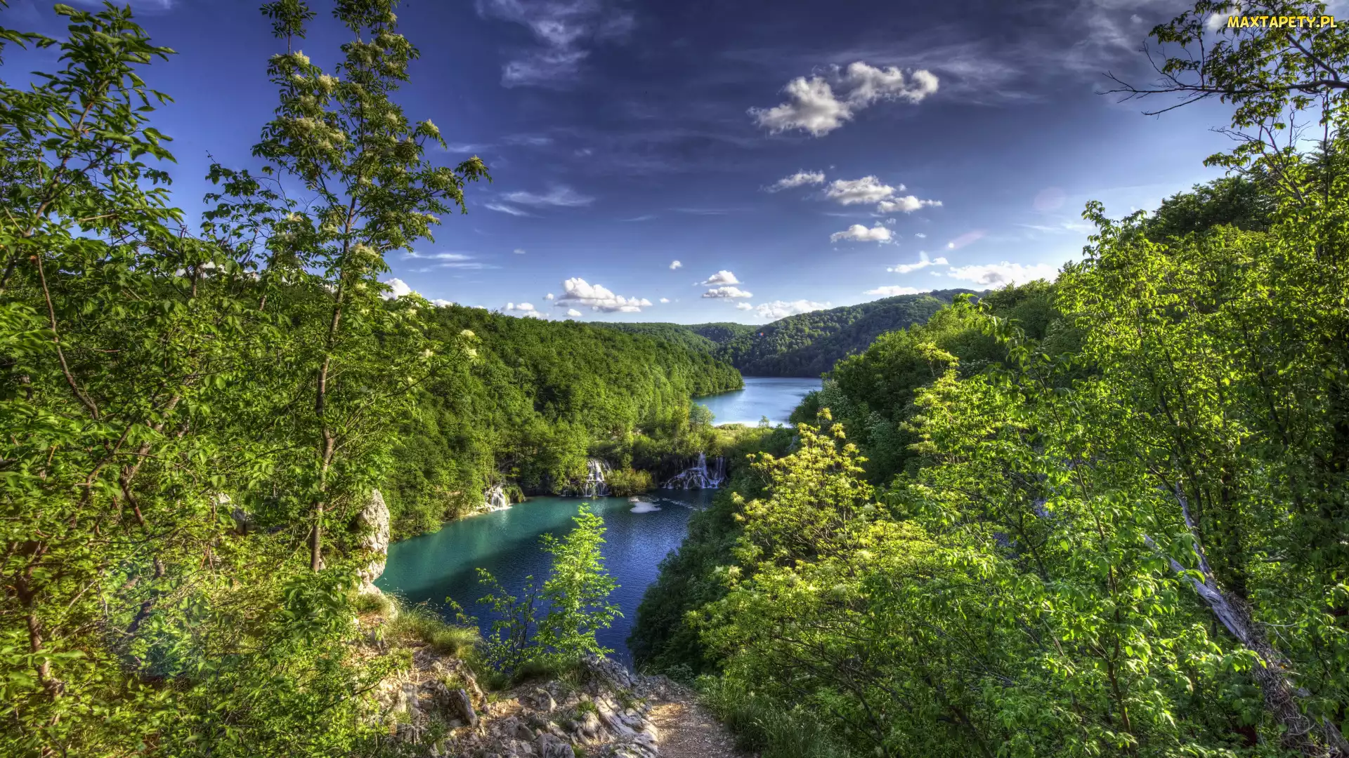 Lasy, Drzewa, Wodospady, Chorwacja, Zielone, Park Narodowy Jezior Plitwickich, Jeziora