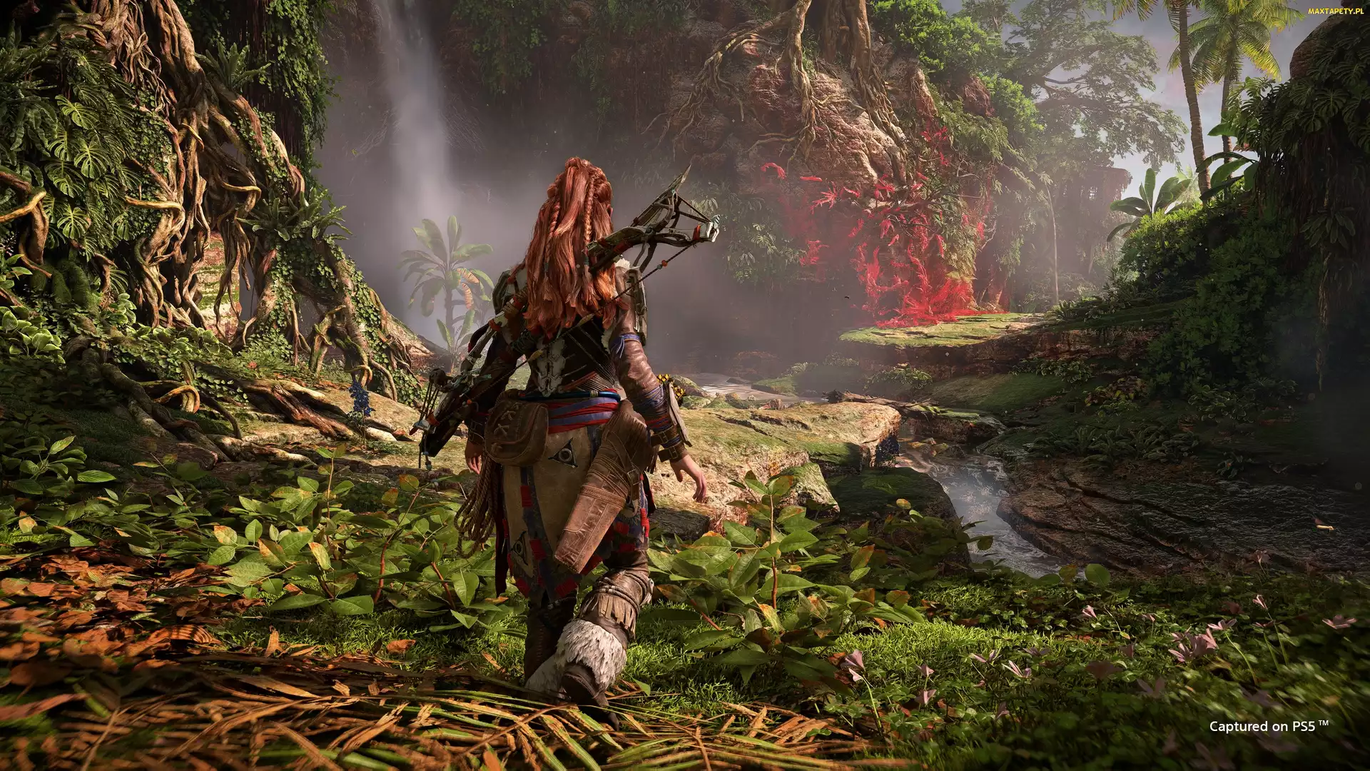 Horizon Forbidden West, Dżungla, Aloy, Postać, Gra