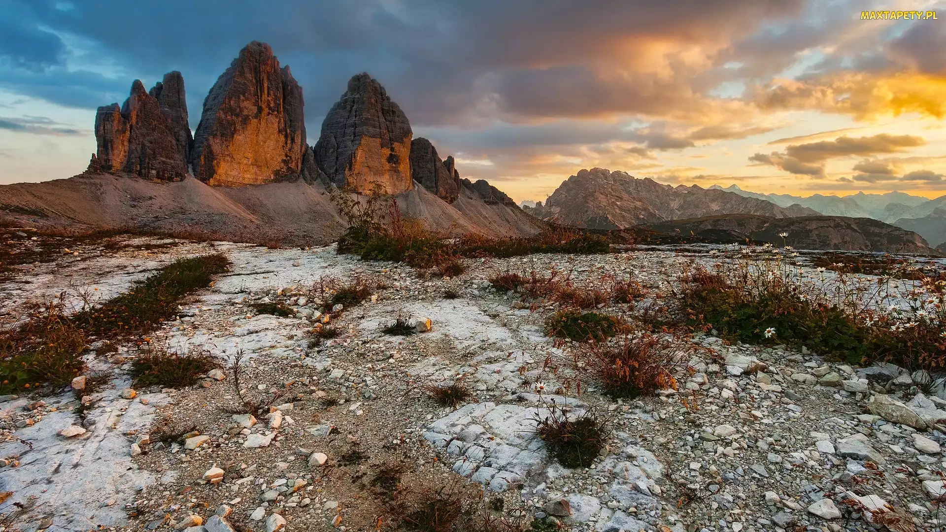 Rośliny, Kamienie, Dolomity, Włochy, Skały, Góry, Tre Cime di Lavaredo