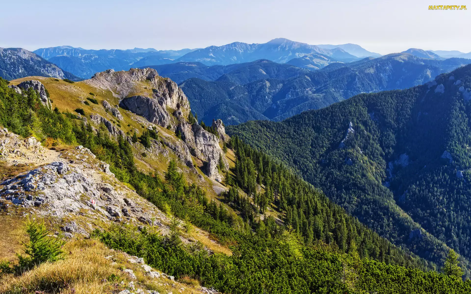Skały, Austria, Styria, Lasy, Góry Hochschwab
