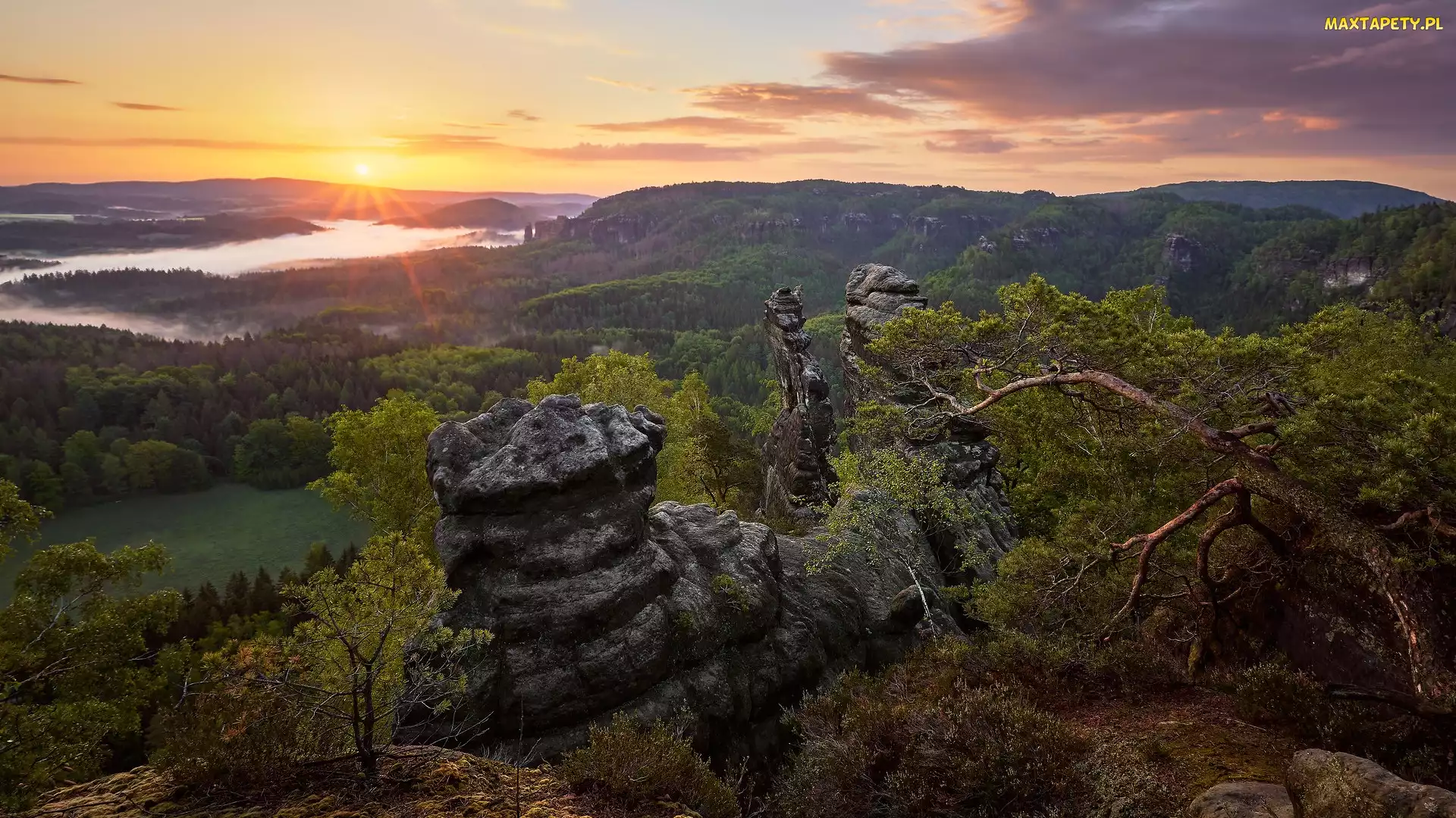 Jezioro, Drzewa, Góry Połabskie, Zachód słońca, Park Narodowy Saskiej Szwajcarii, Skały, Niemcy, Sosny