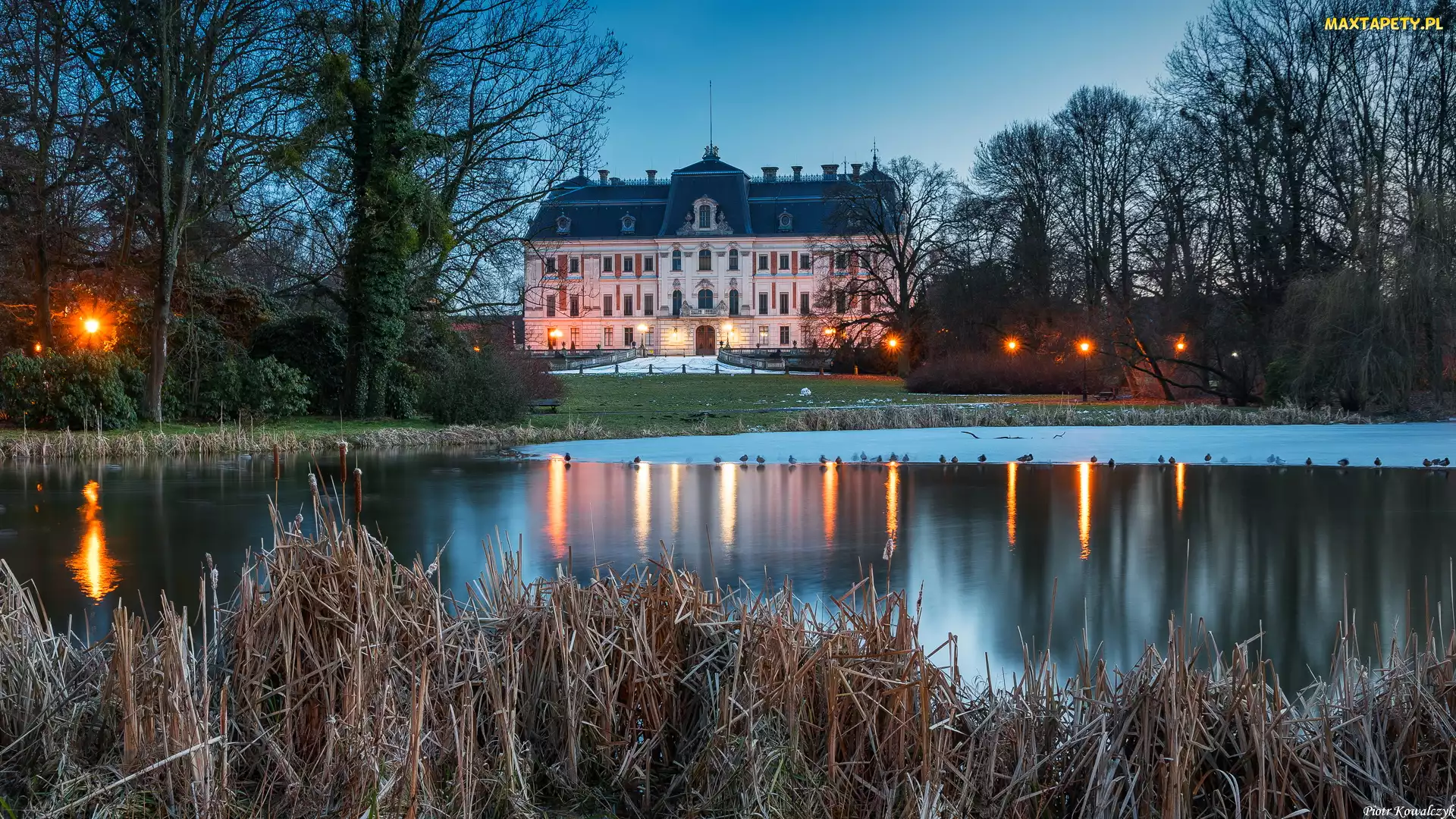 Województwo śląskie, Pszczyna, Muzeum Zamkowe, Polska, Drzewa, Pałac w Pszczynie, Staw