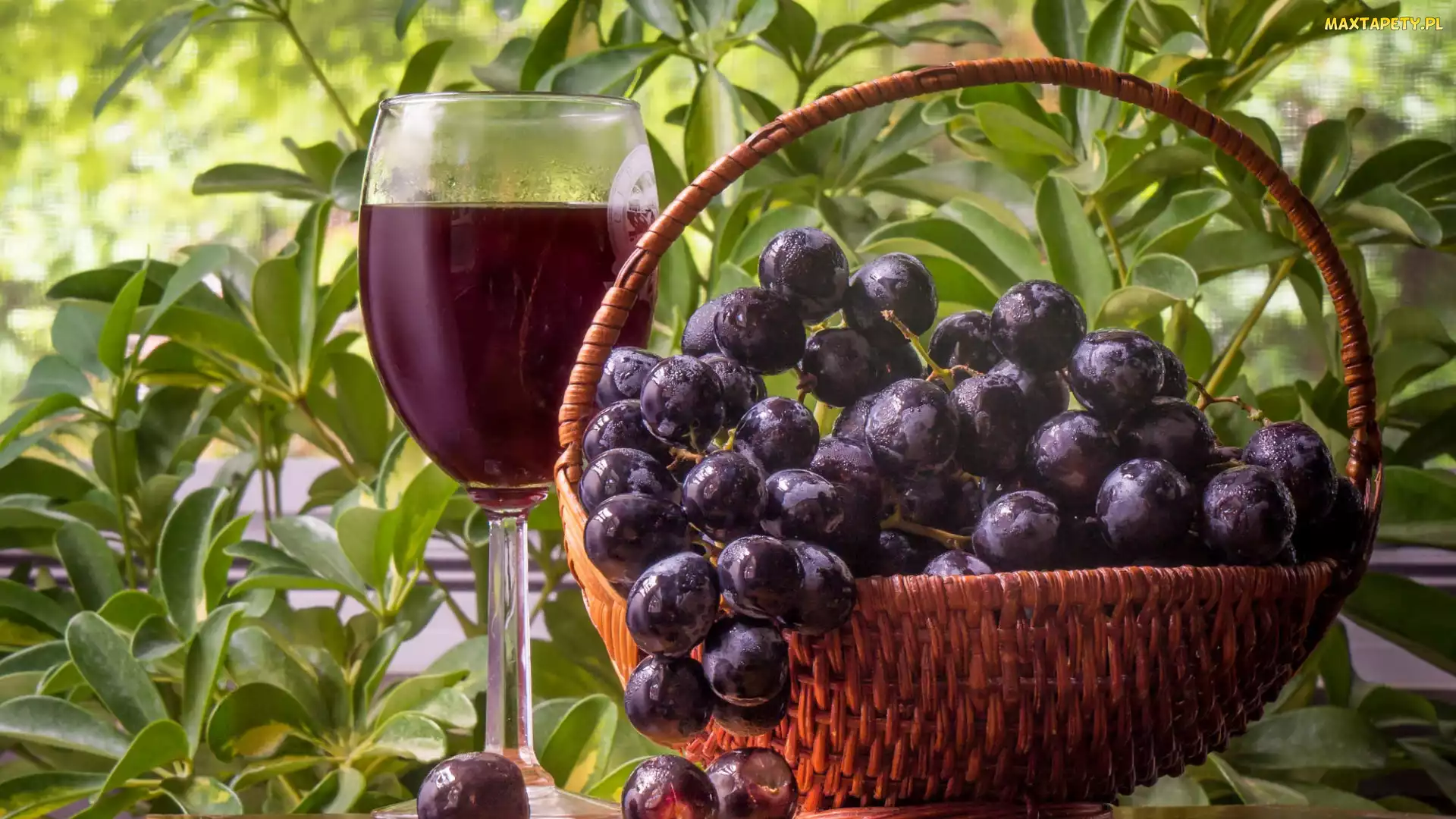 Koszyk, Winogrona, Kieliszek, Wino