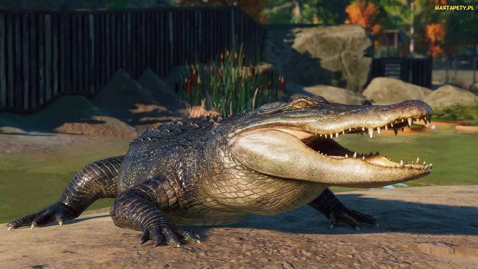 Gra, Planet Zoo, Aligator