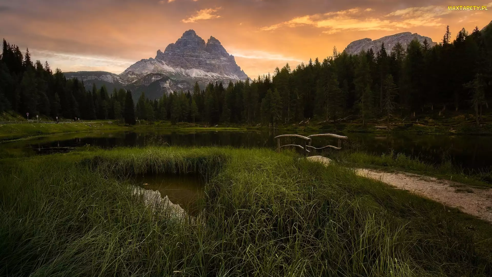 Włochy, Mostek, Drewniany, Prowincja Belluno, Góry Dolomity, Antorno Lake, Masyw Tre Cime di Lavaredo, Drzewa, Jezioro, Trawa
