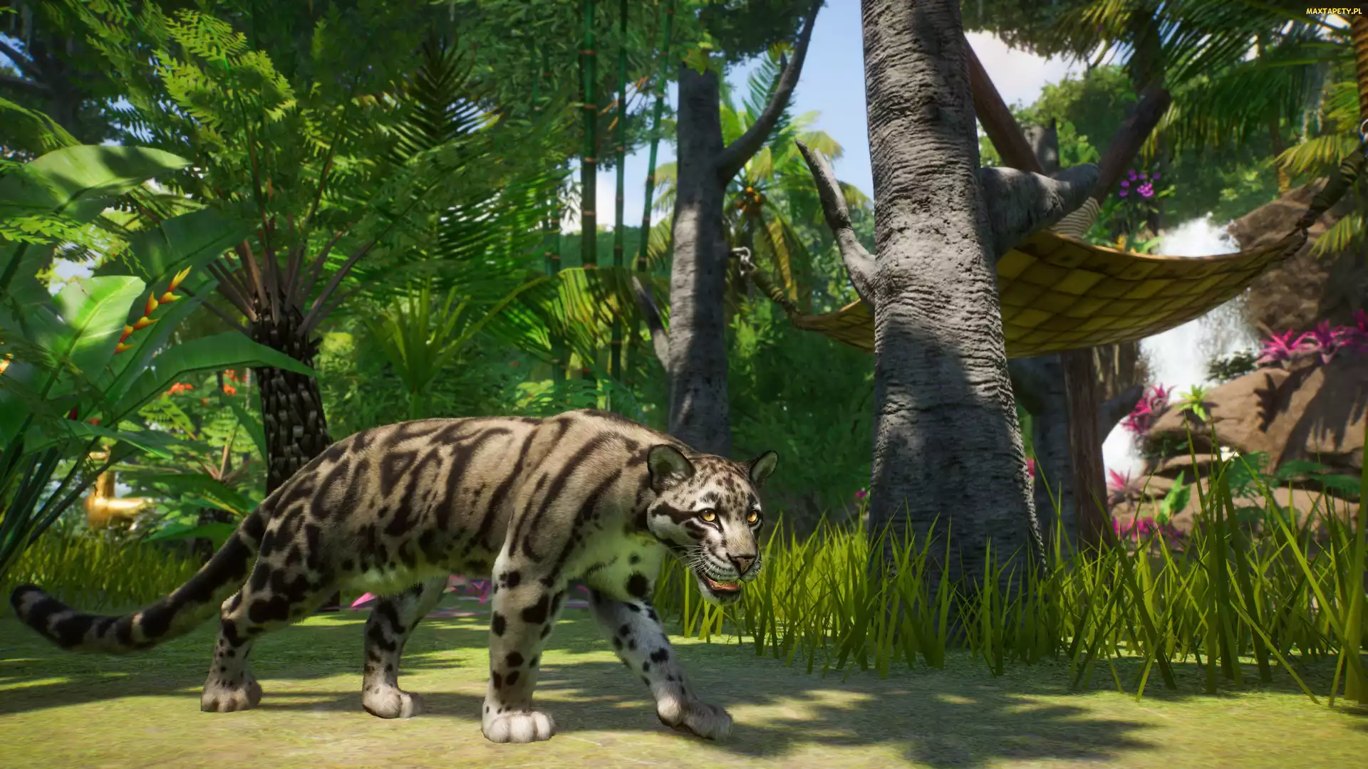 Gra, Planet Zoo, Dziki kot