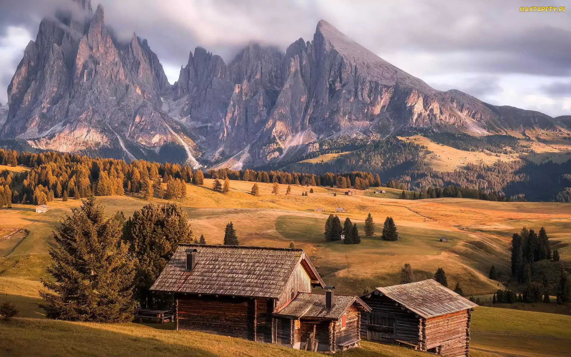 Val Gardena, Drzewa, Dolomity, Seiser Alm, Drewniane, Włochy, Góry, Domki, Dolina, Sassolungo, Płaskowyż