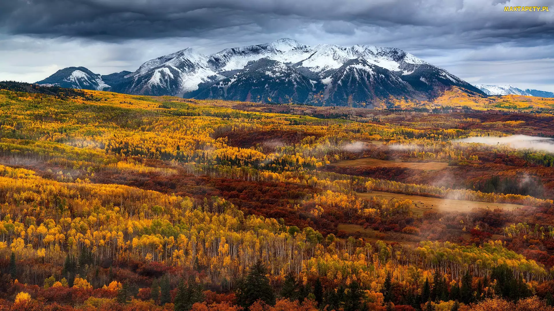 Rocky Mountains, Lasy, Stany Zjednoczone, Jesień, Roślinność, Góry Skaliste, Mgła, Drzewa