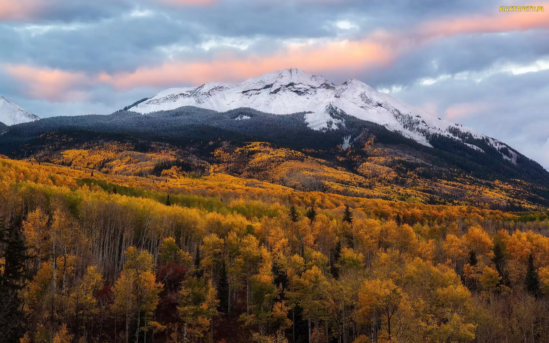 Rocky Mountains, Lasy, Stany Zjednoczone, Jesień, Roślinność, Góry Skaliste, Chmury, Drzewa