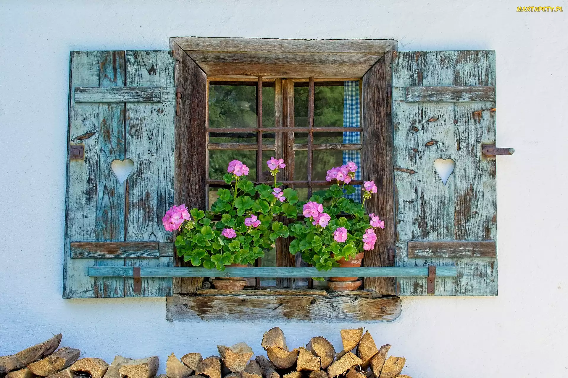 Okno, Pelargonie, Parapet, Kwiaty, Dom