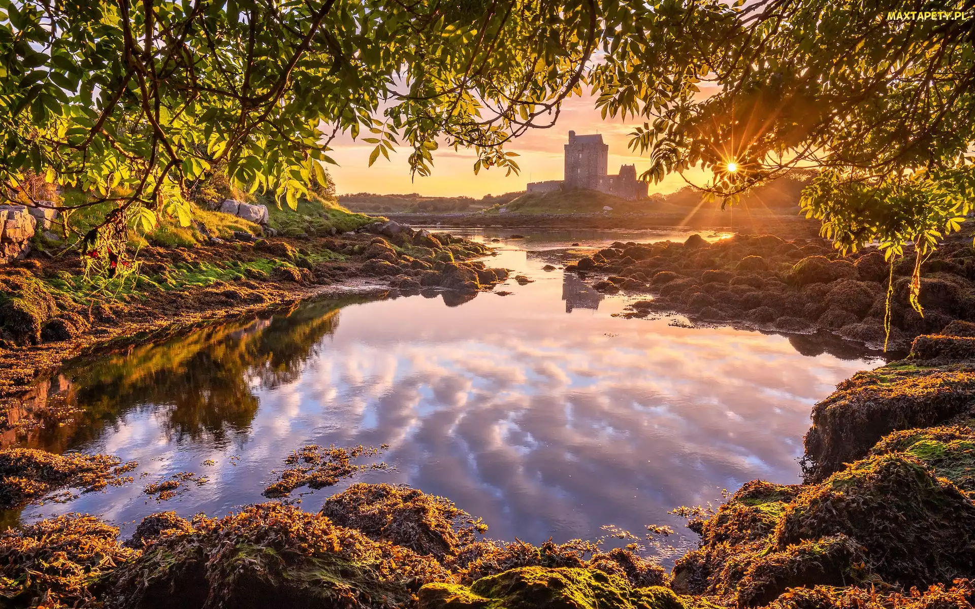 Hrabstwo Galway, Dunguaire Castle, Irlandia, Zamek, Promienie słońca, Kinvara, Zatoka Galway, Drzewa